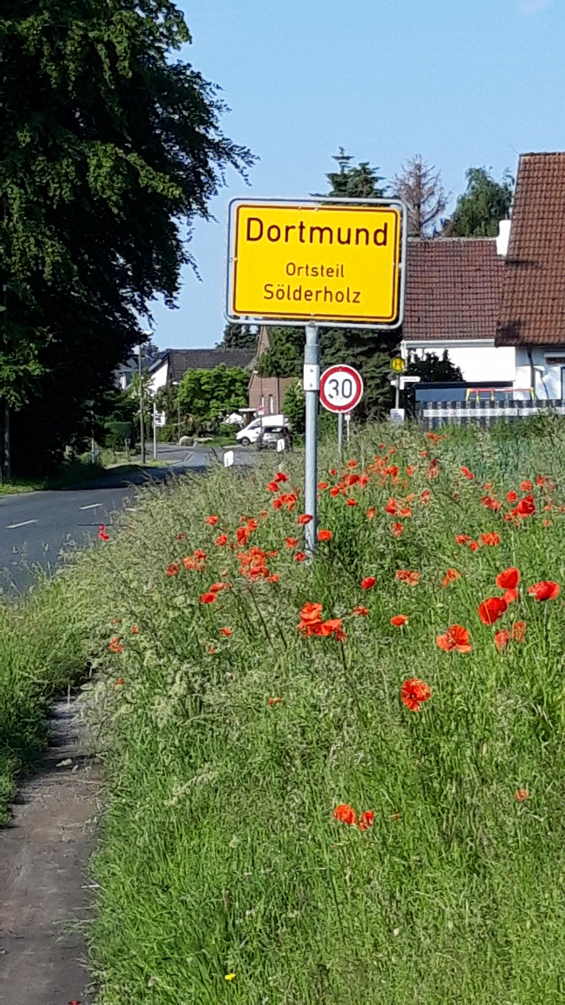 Ortsschild von Dortmund mit Mohnblumenwiese.