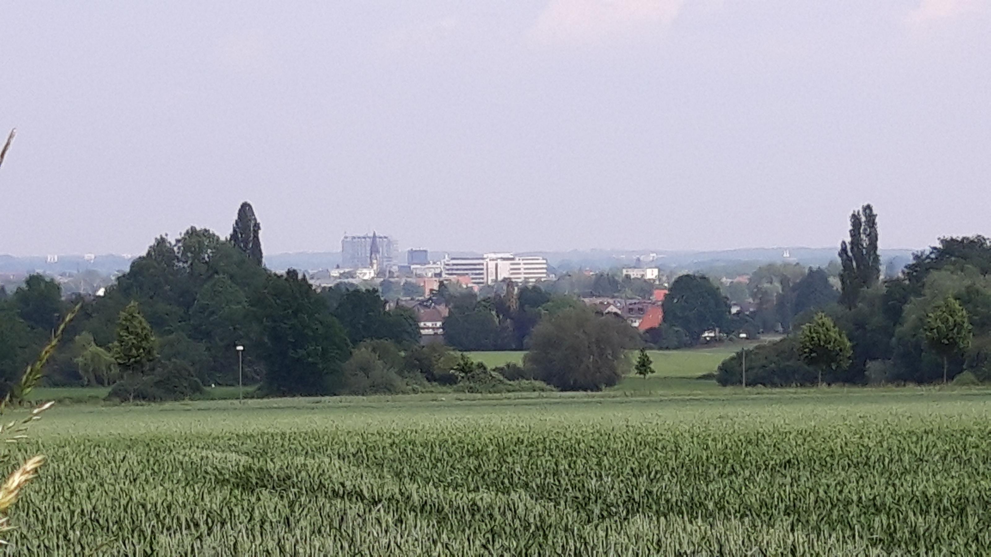 Felder vor Hamm (im Hintergrund)