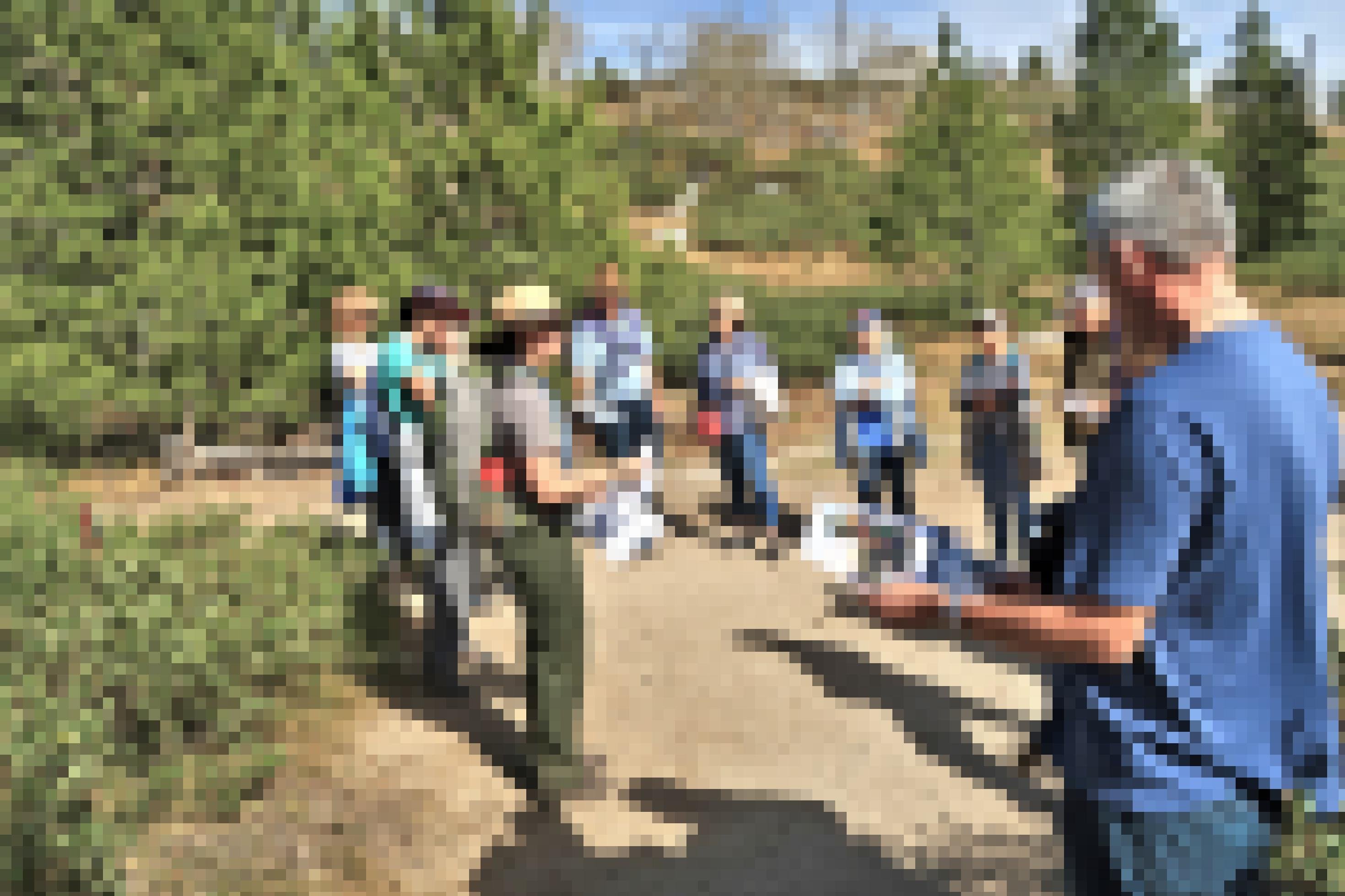 Eine Gruppe von Menschen steht im Wald im Kreis.