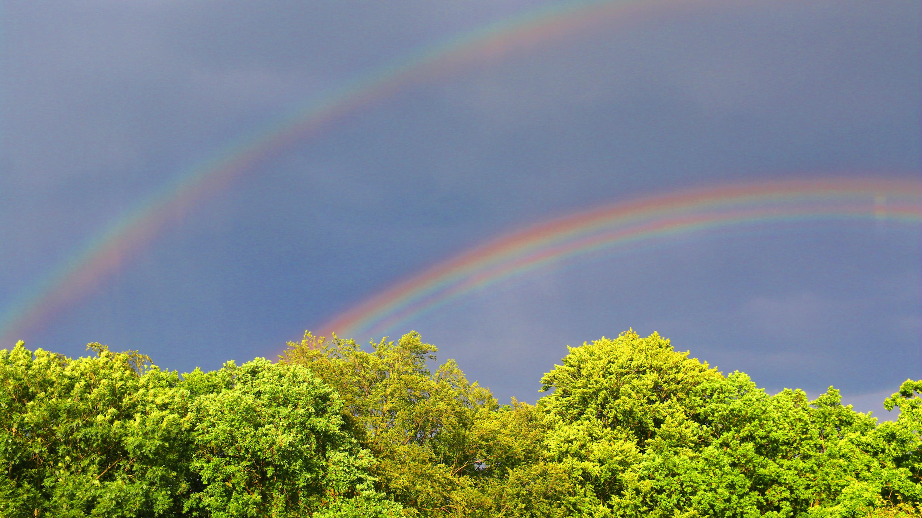 Ein doppelter Regenbogen wölbt sich an einem grauen Himmel über Bäumen, die von der tierstehenden Abendsonne angestrahlt werden. Ein Symbol der Hoffnung, oder nicht?