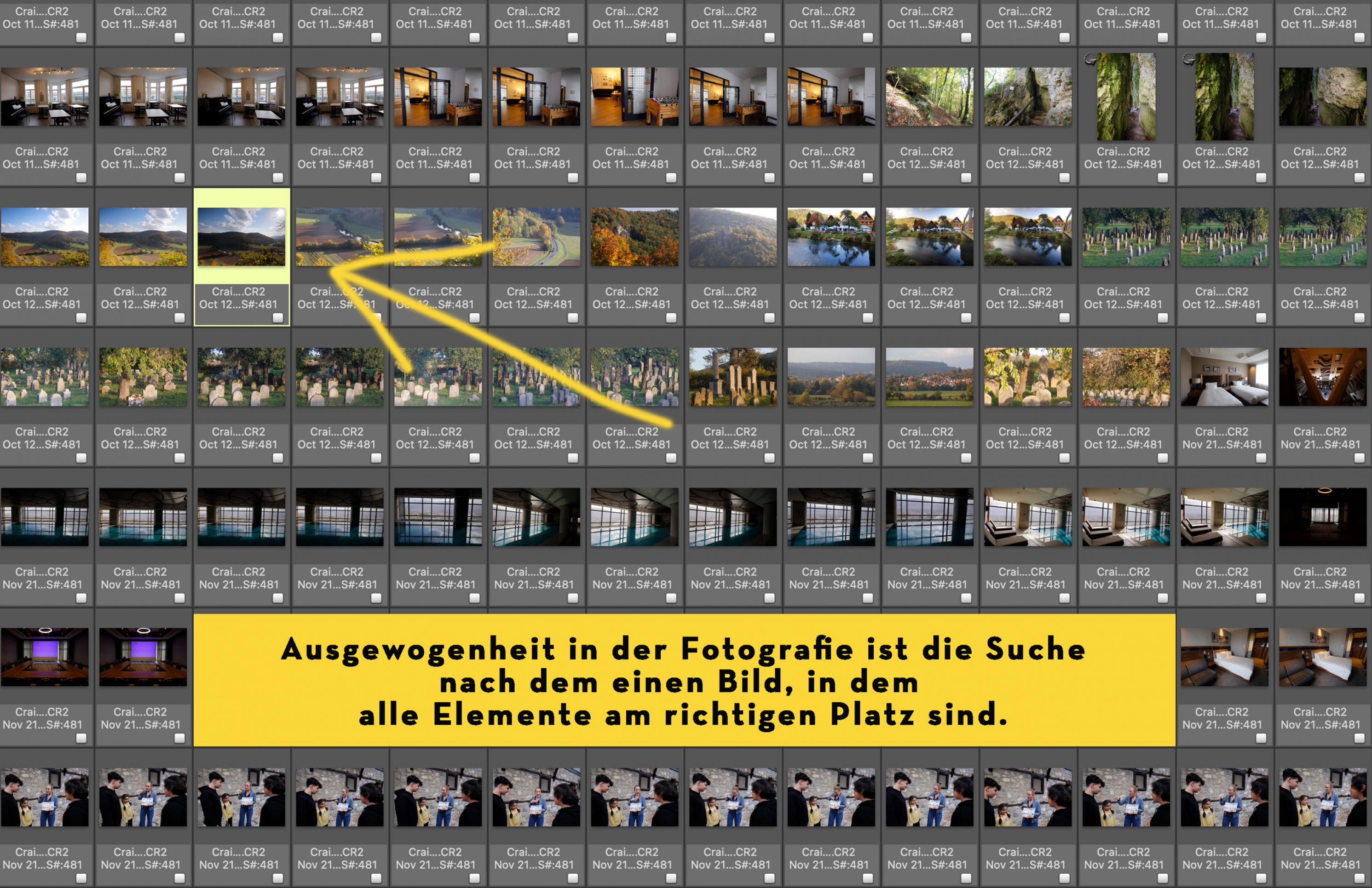 Viele Fotos in einem Foto-Editor