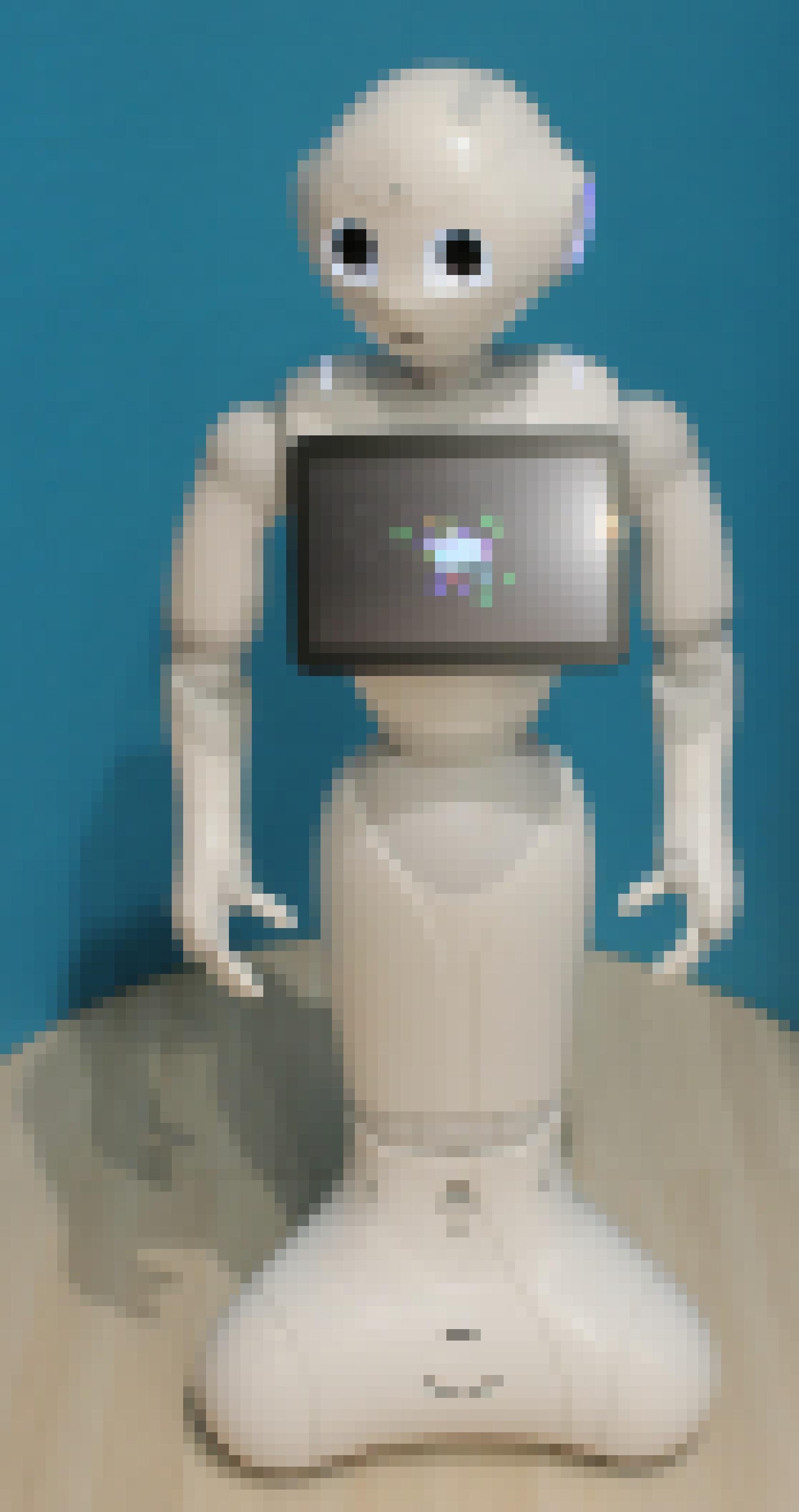 Der „Roboter-Gefährte“ namens Pepper.