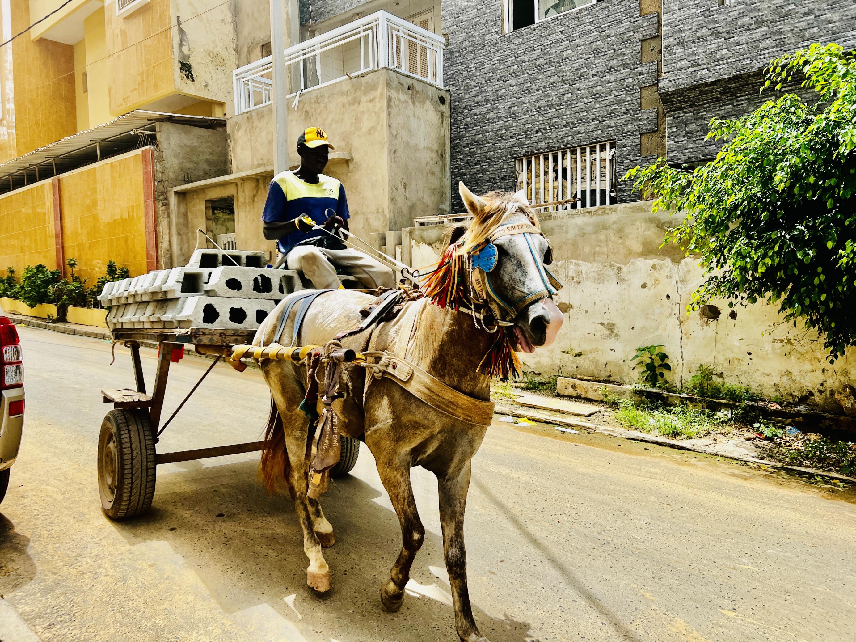 Dieses Bild einer Kutsche im Senegal teilte Ruona Meyer mit der Community