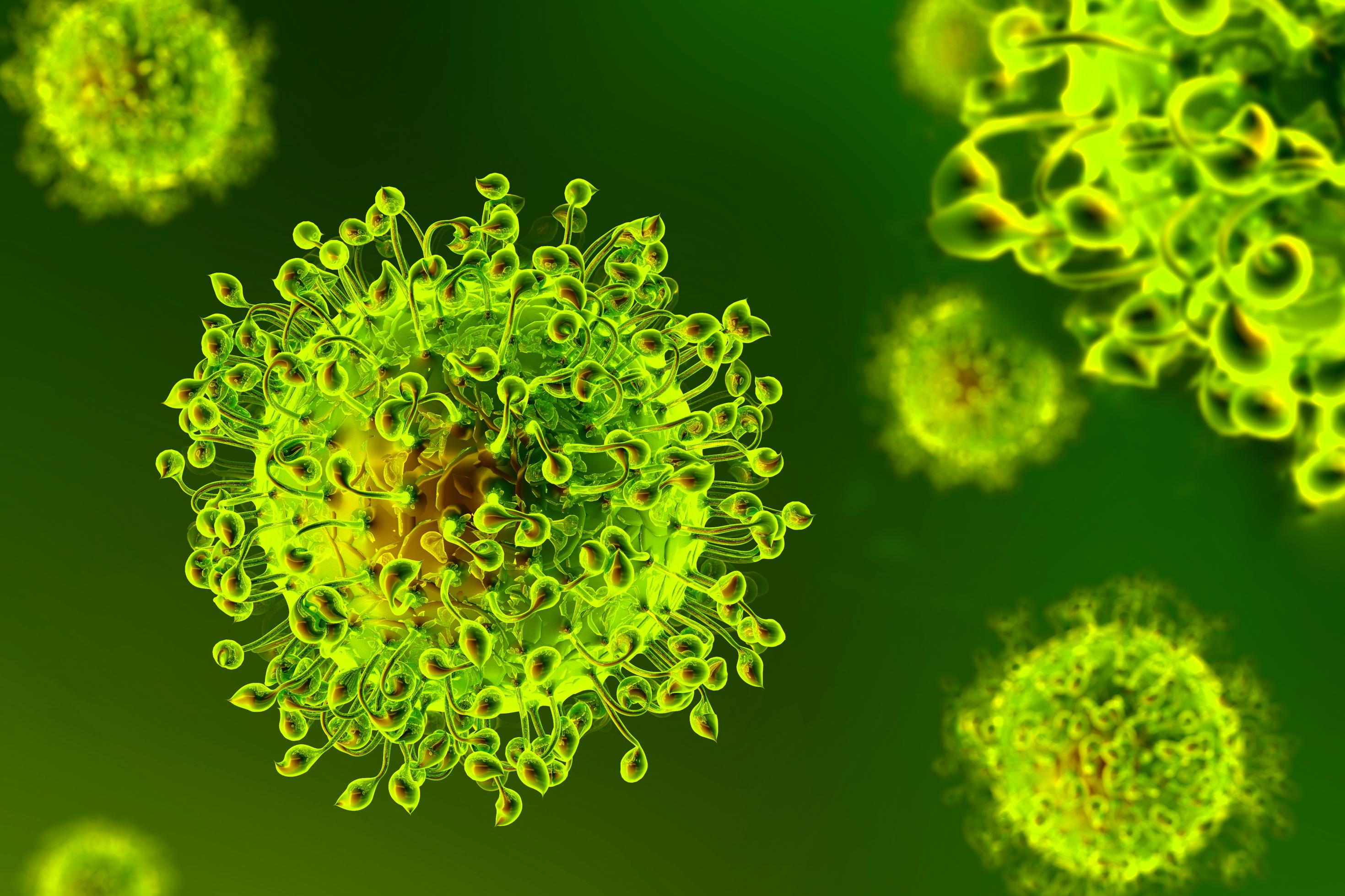 Man sieht eine rasterelektronenmikroshopische Aufnahme des SARS-CoV-2-Virus und im Hintergrund weitere solcher Viren in Grün eingefärbt