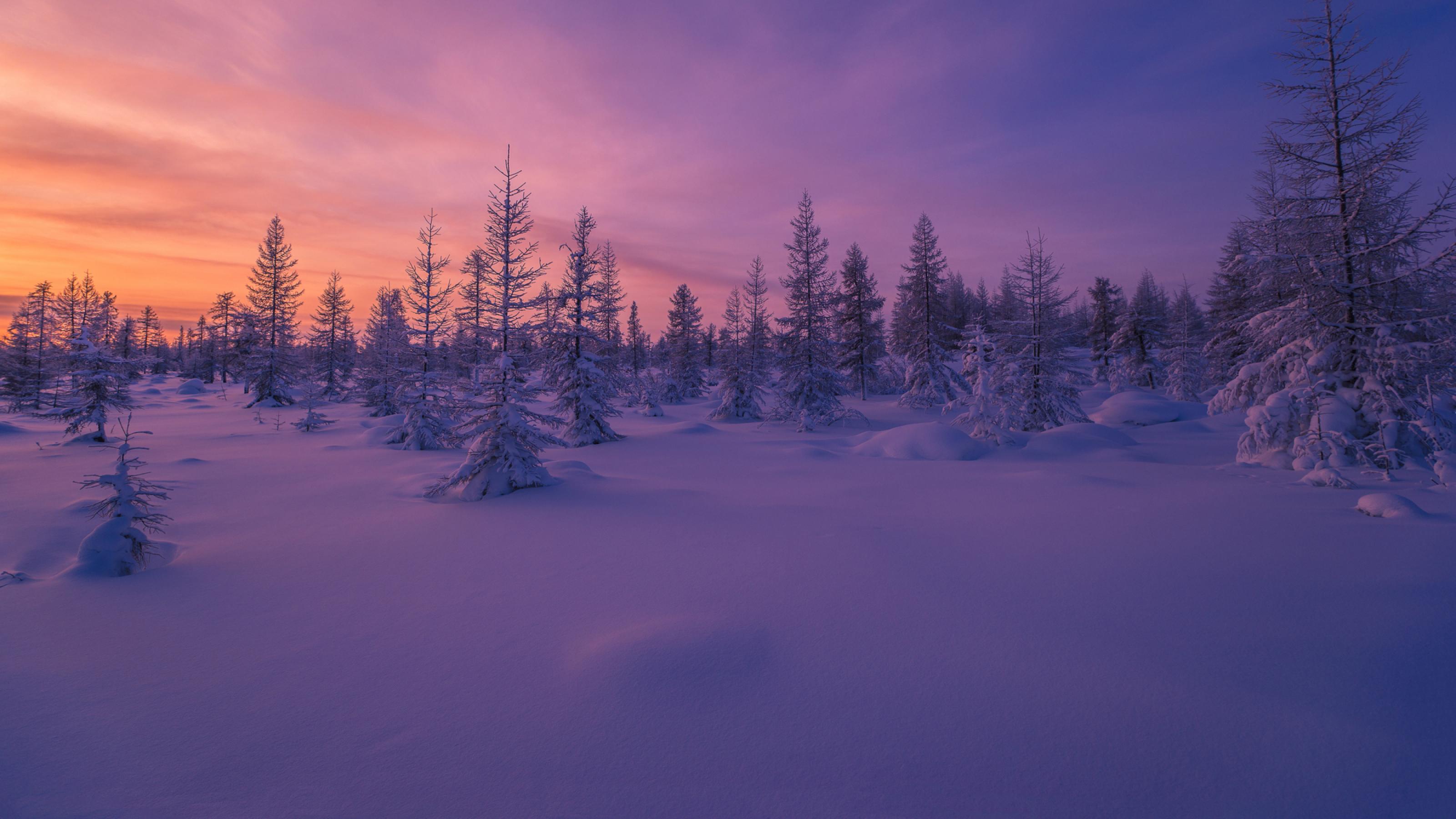 Schneelandschaft in Abenddämmerung