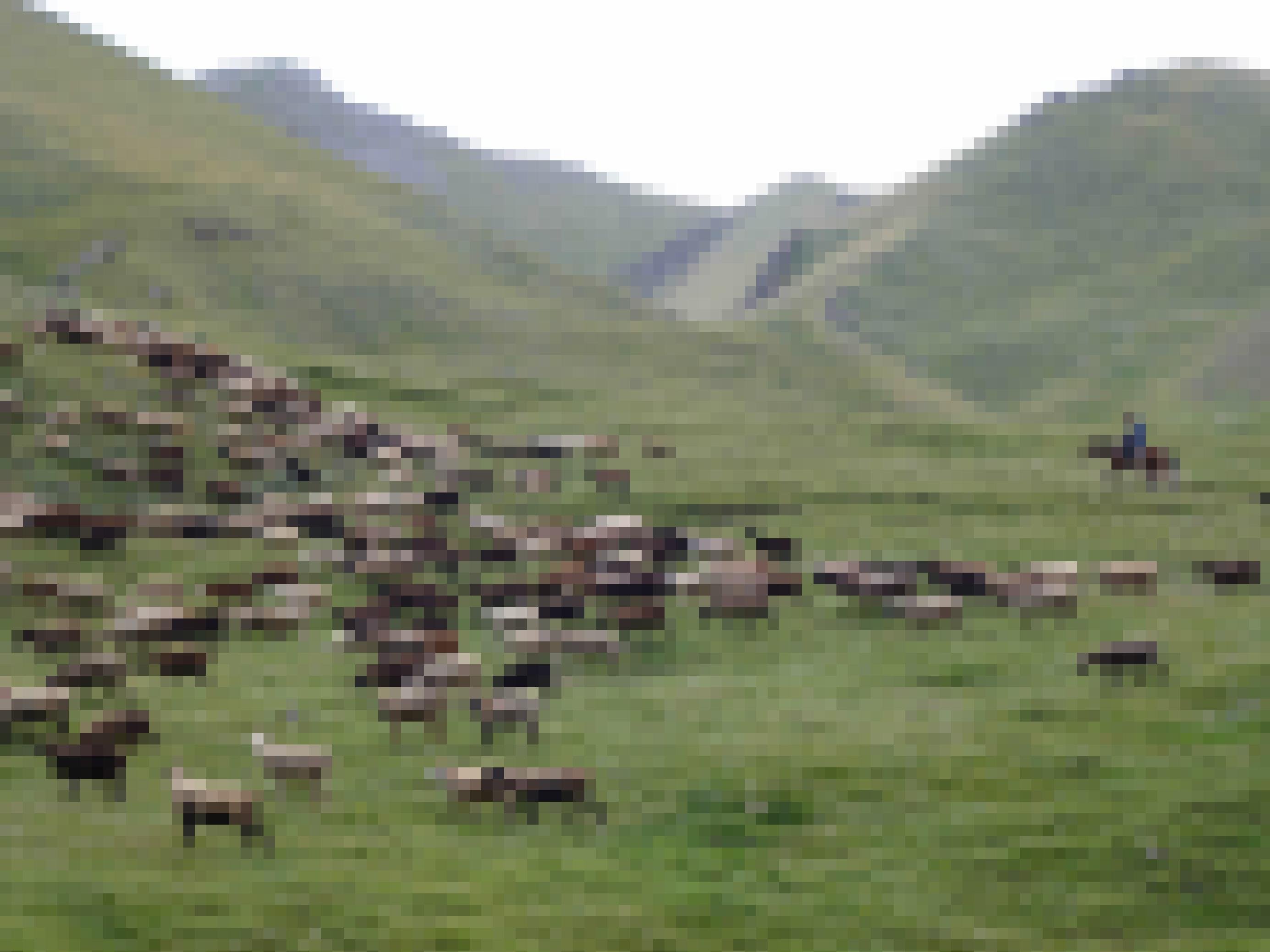 Ein Hirte mit seinen Schafen im Gebirge