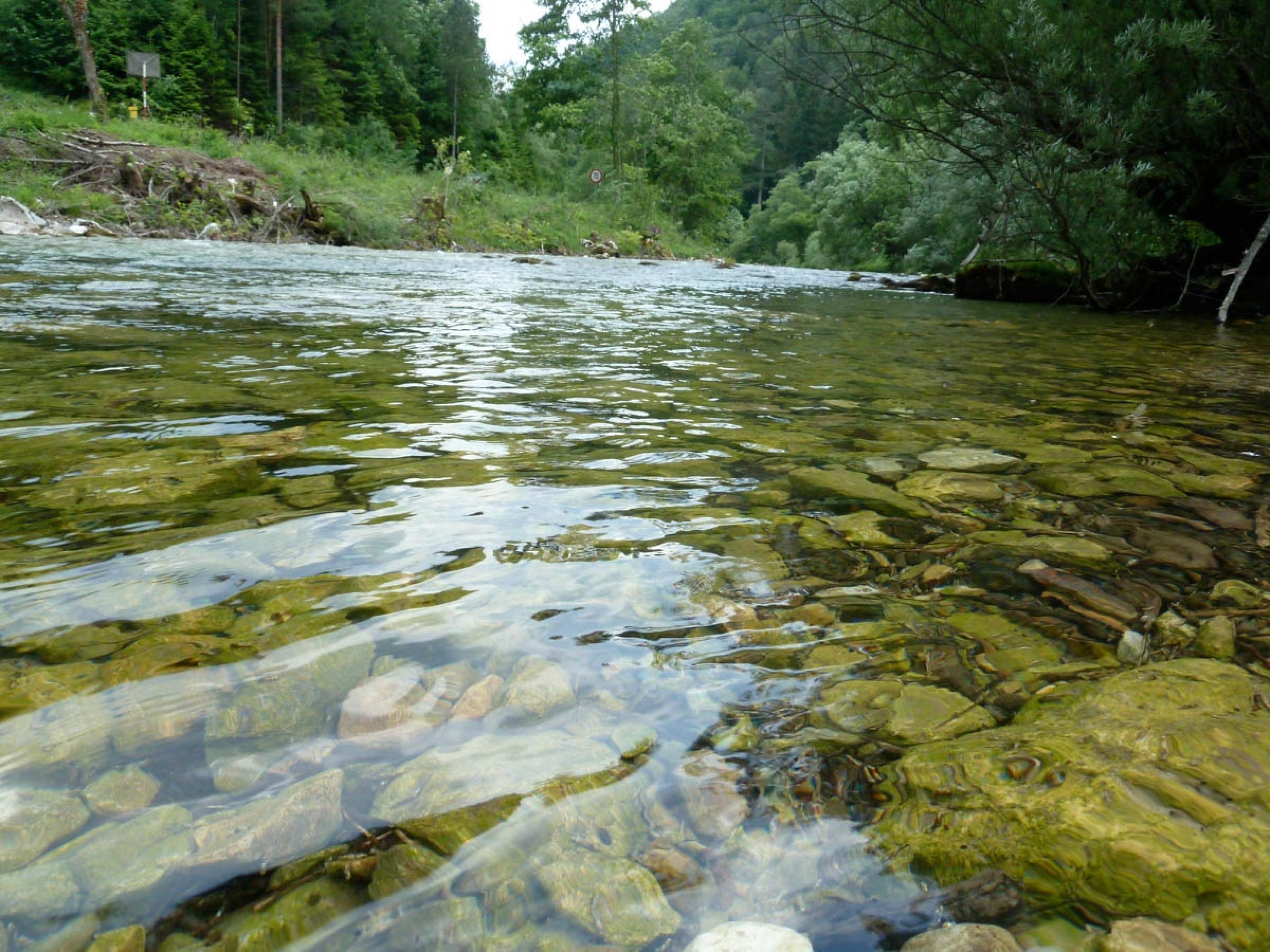 Fluss Schwarza, Wasser mit Schotterbett.