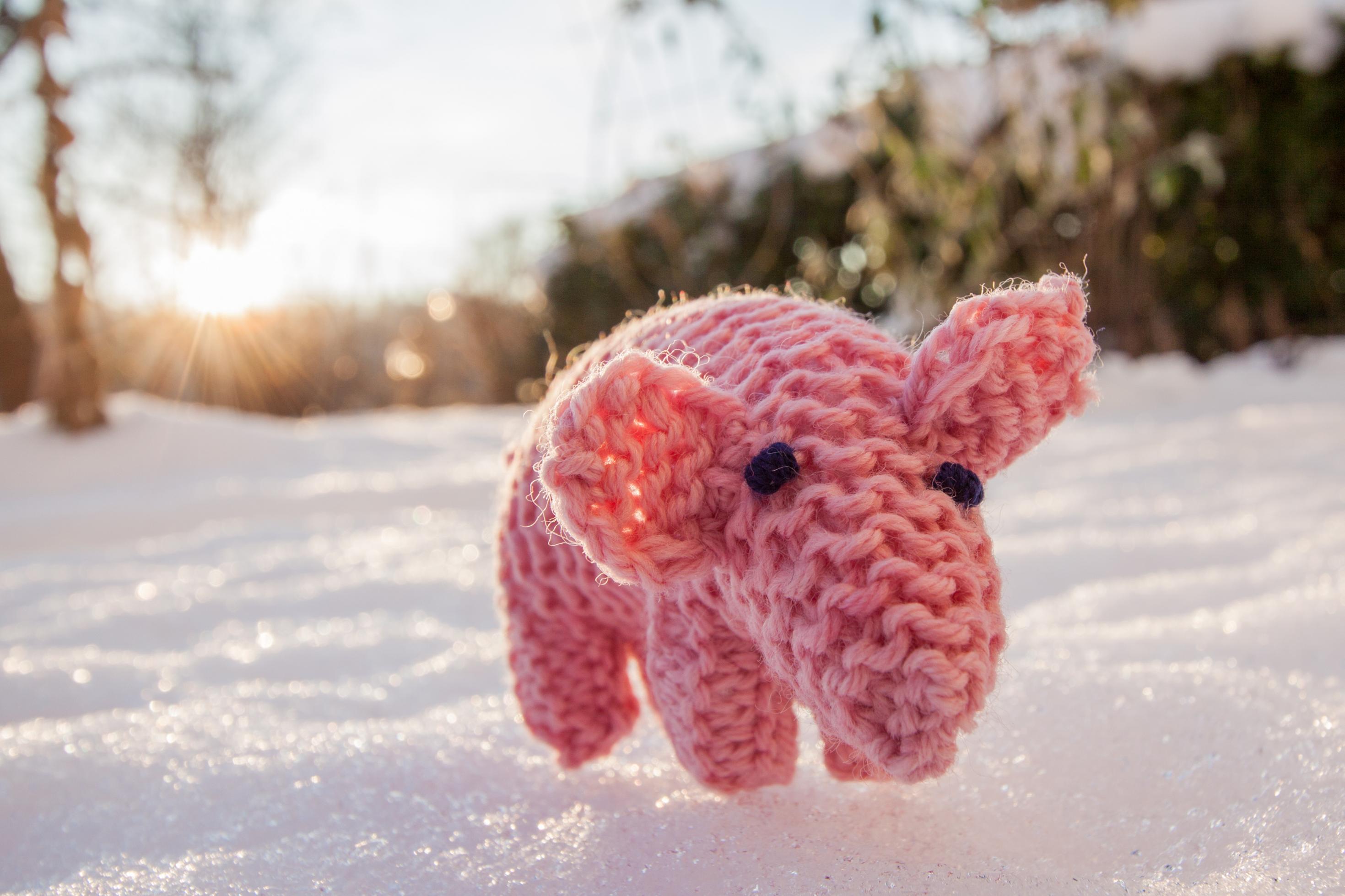 Gestricktes Schwein steht im Schnee.