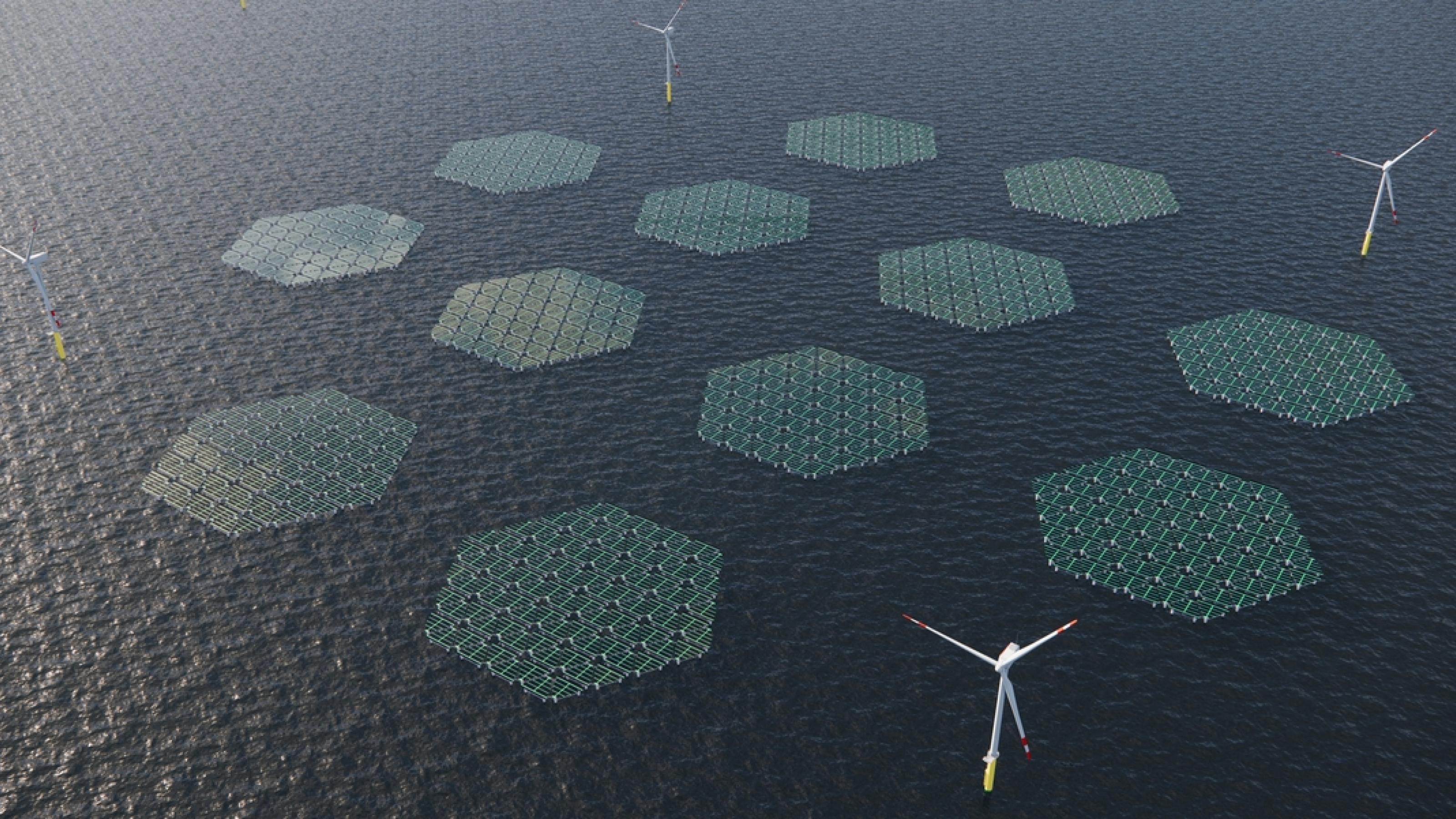 Animation eines Offshore-Windparks mit sechseckigen Photovoltaik-Inseln zwischen den Windrad-Türmen