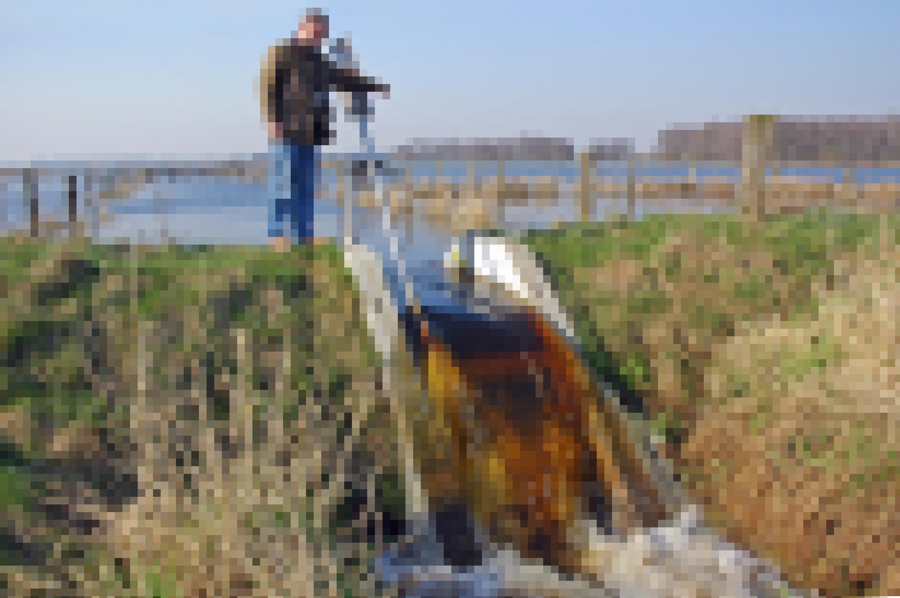 Heinrich Belting, Leiter der Naturschutzstation Dümmer, öffnet einen Stauwehr. Das Wasser fließt auf eine Wiese.