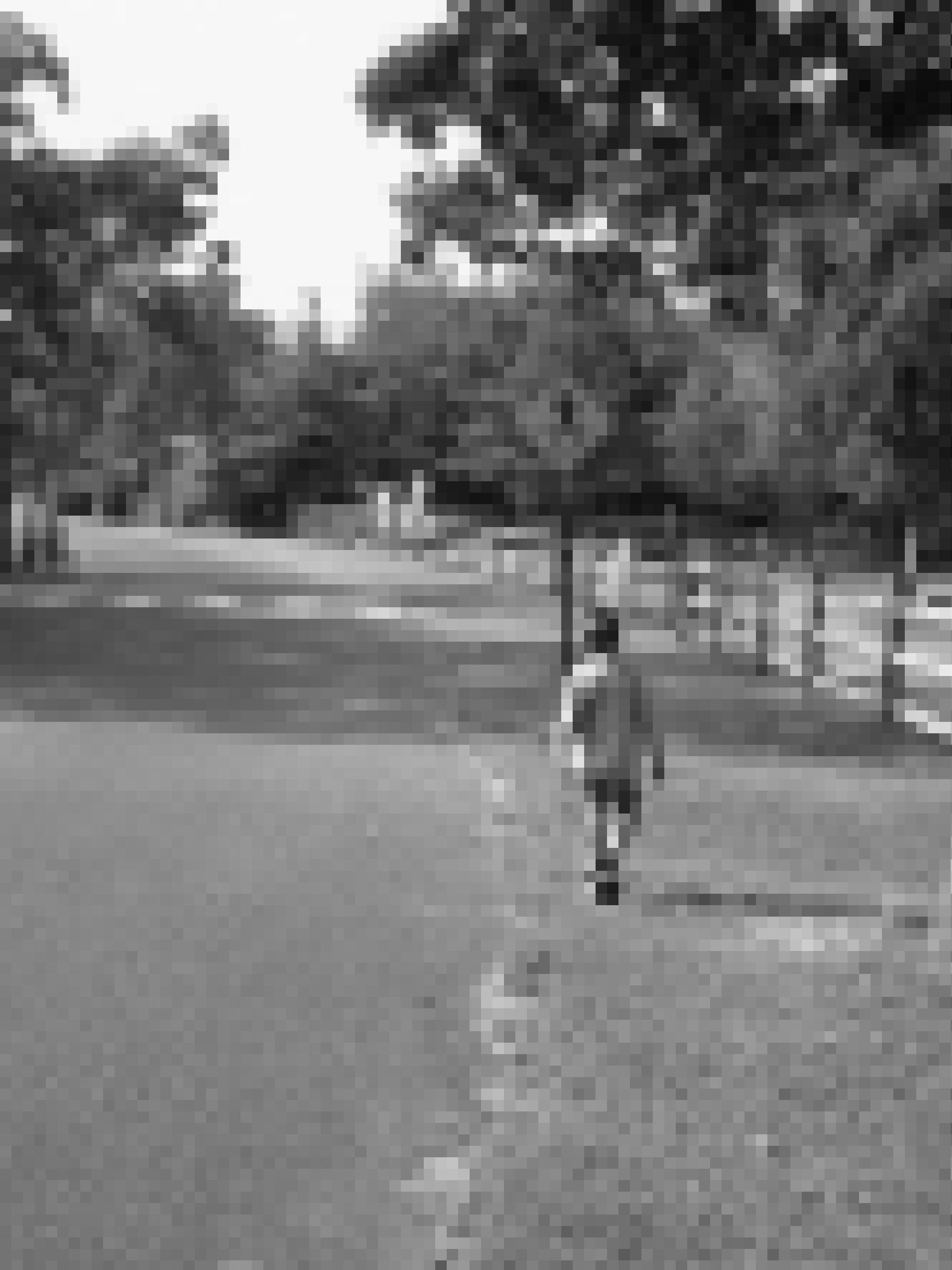Ein Junge geht am Rande einer Straße in einem Wohngebiet.