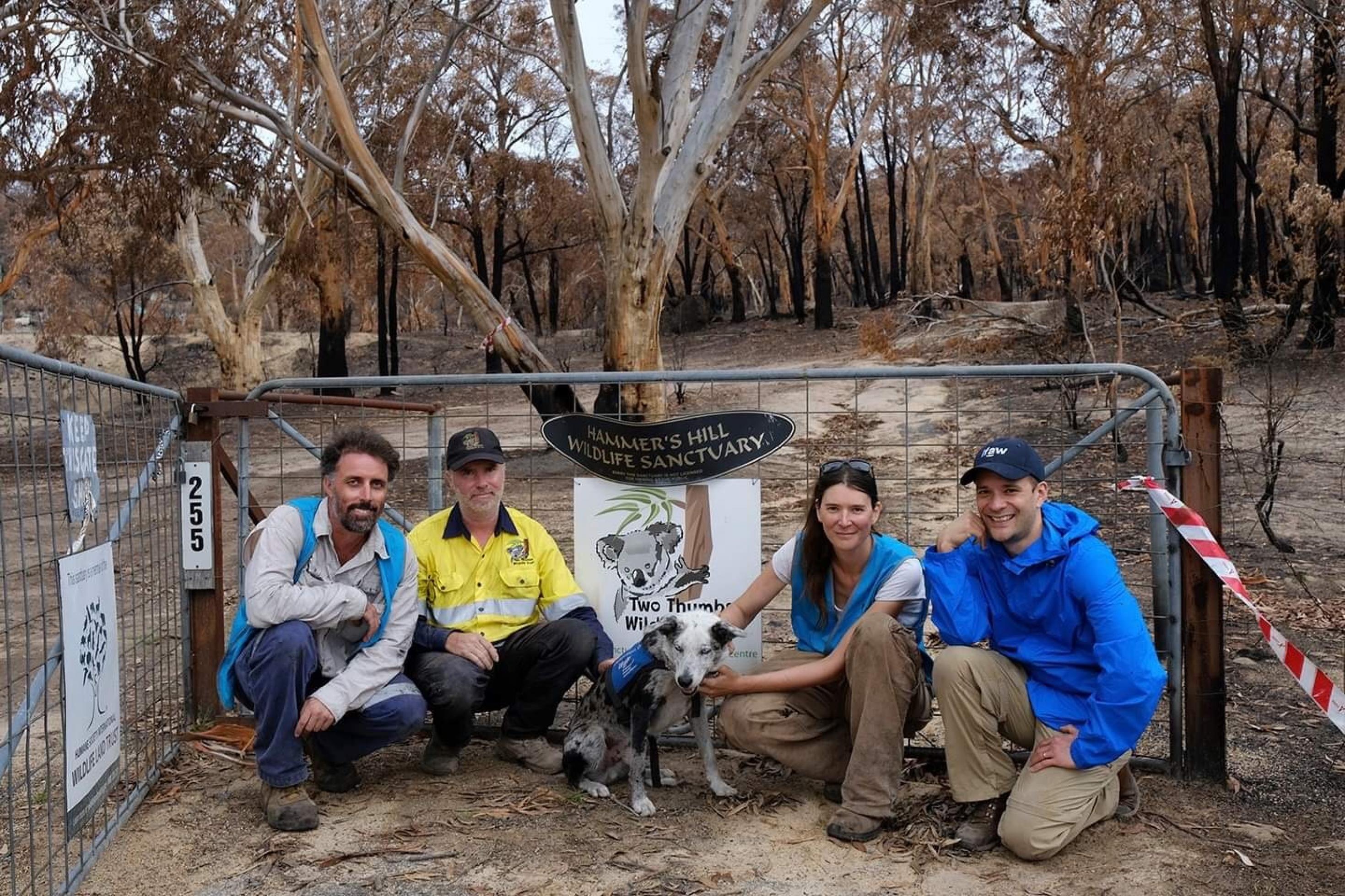 In dem abgebrannten Reservat sitzen Romane Cristescu mit Reservatsbesitzer James Fitzgerald neben Spürhund Bear, einem Tierarzt und Drohnen-Flieger Paul nach der Suchaktion im Wildnisreservat.