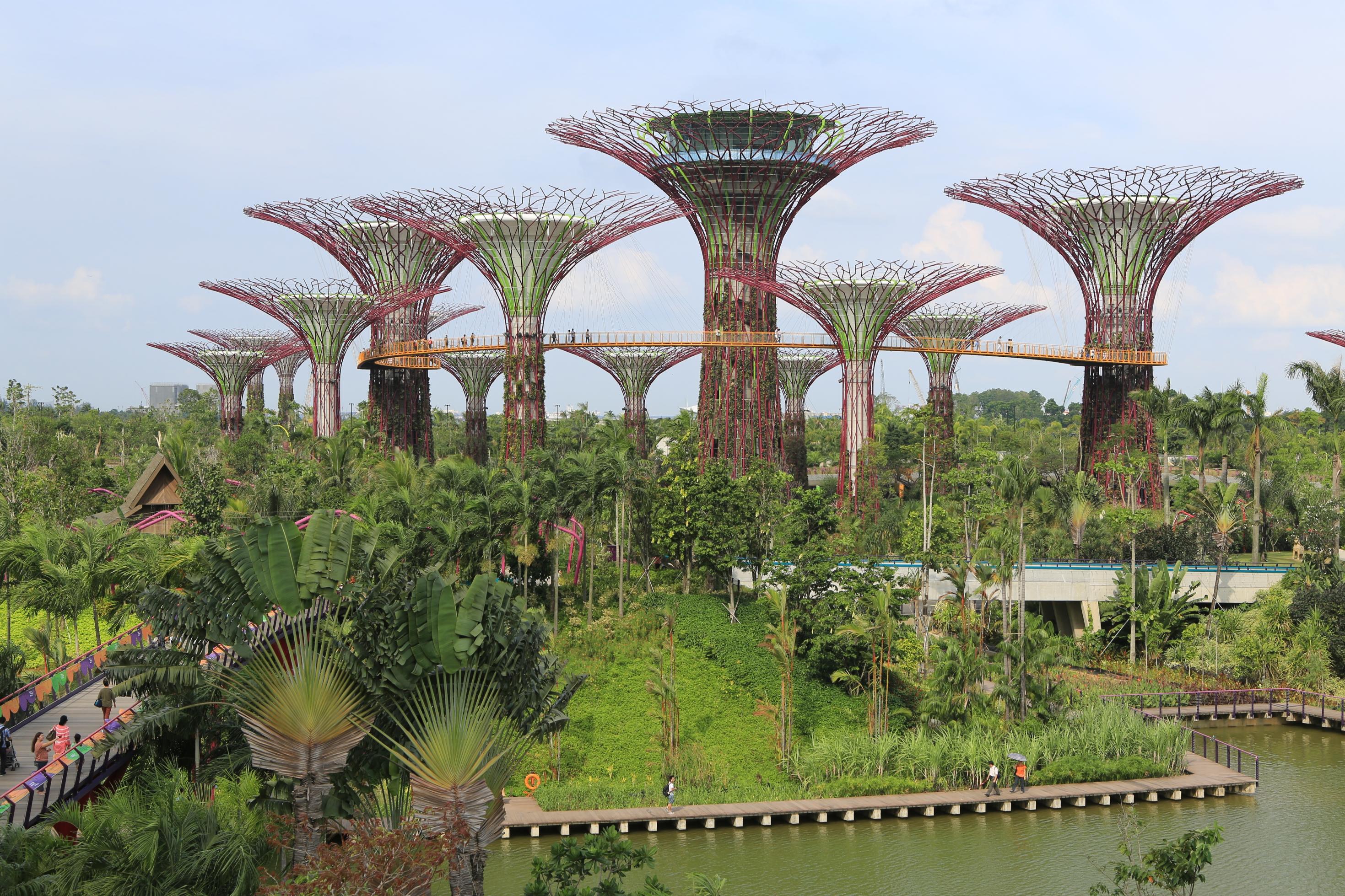 EIn palmenbestandener Park am Wasser, darüber elf fächerförmige Stahlkonstruktionen, in deren Inneren Gewächshäuser untergebracht sind