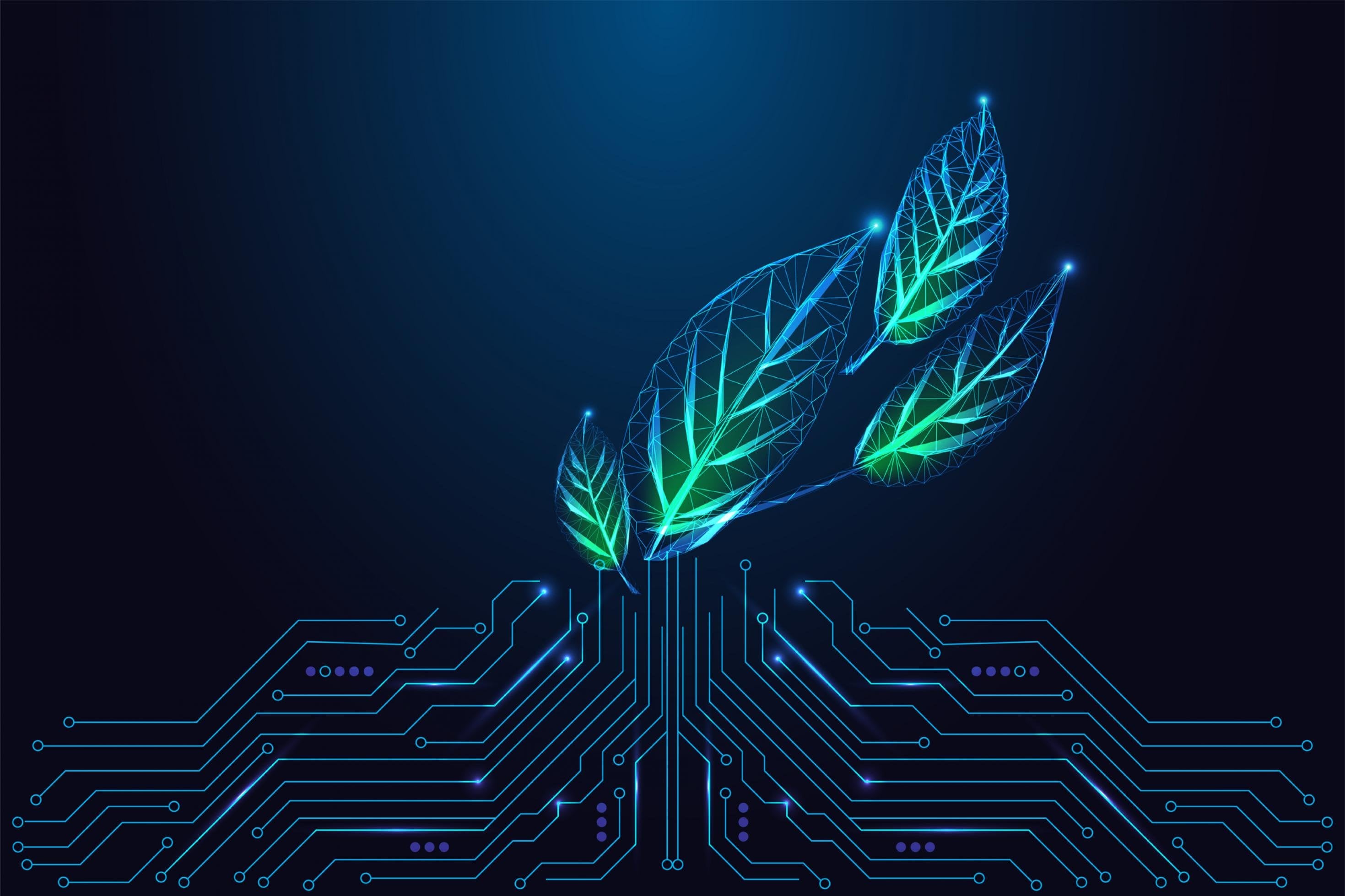Kann KI nachhaltig sein? Symbolbild von Blättern in Schaltkreisanmutung