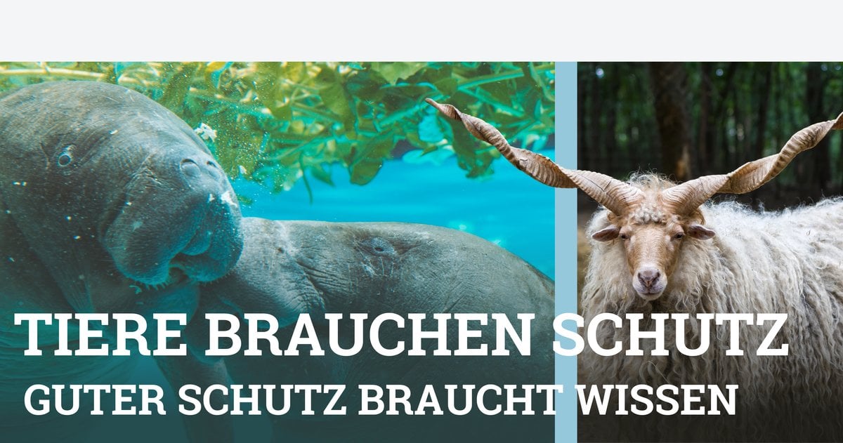 Forschung, Entdeckung, Tipps: News für Freunde der Tierwelt.