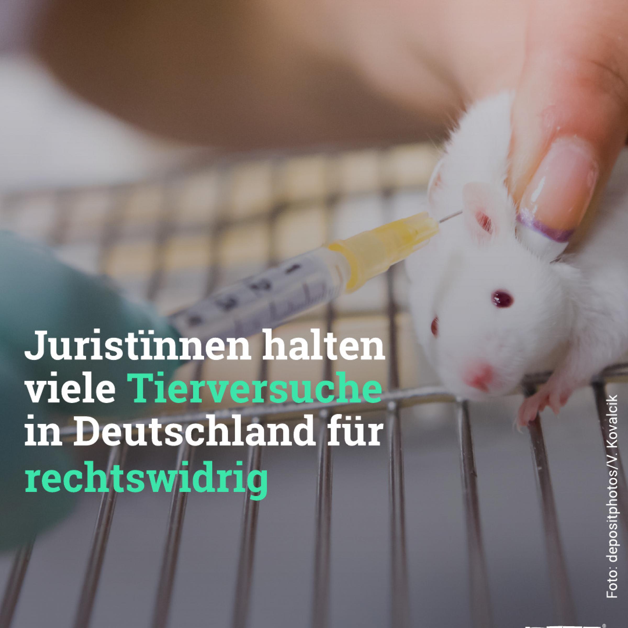 Juristïnnen halten viele Tierversuche in Deutschland für rechtswidrig.
