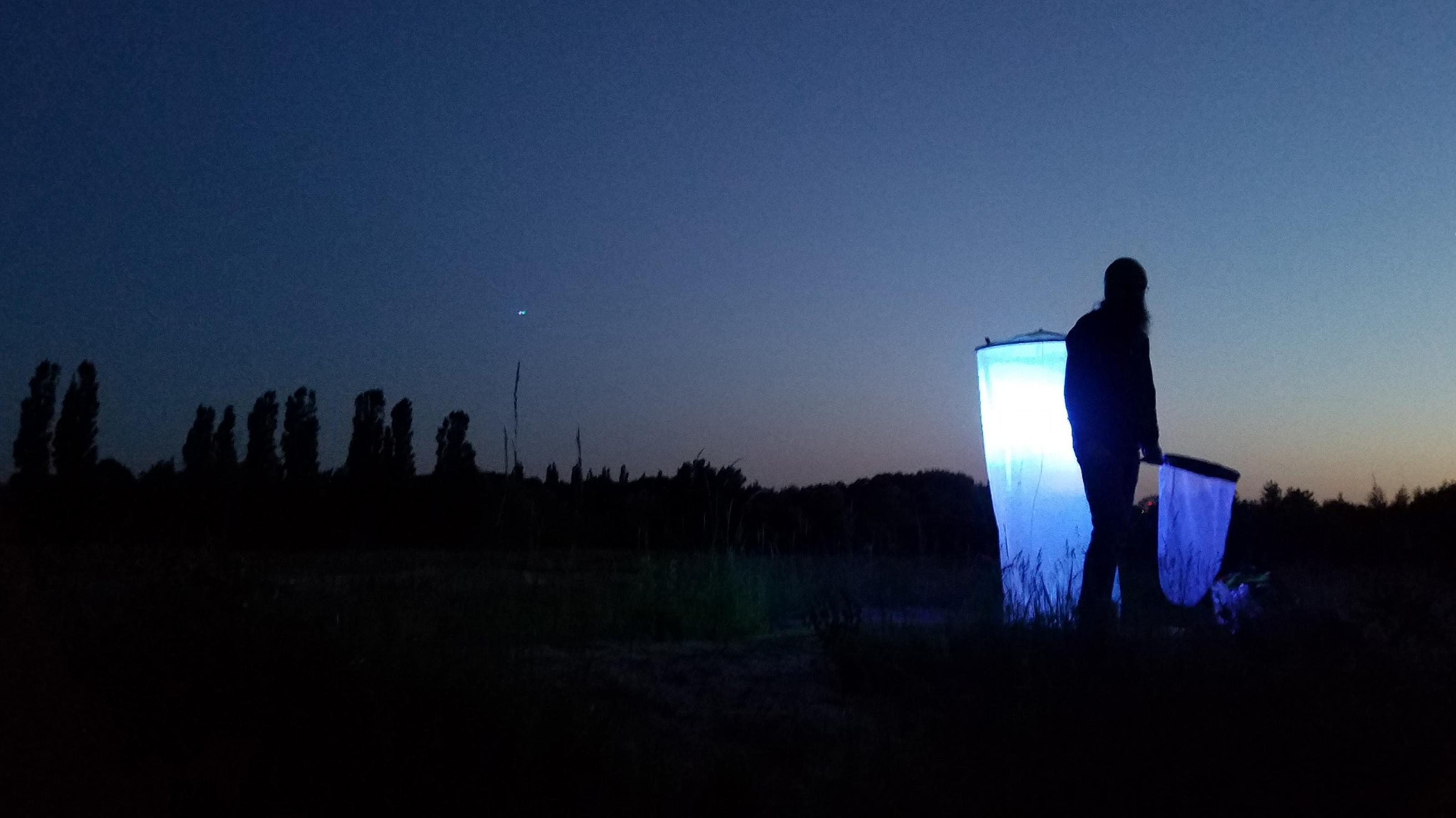 Timo Zeimet, Student der Biologie, bei Nacht auf dem „Energieberg“ in Hamburg-Georgswerder. Er steht vor einem sogenannten „Leuchtturm“, einer mit Gaze umhüllten, in einem rund zwei Meter hohen Gestell aufgehängten Lampe, mit der er Nachtfalter anlocken und bestimmen will.