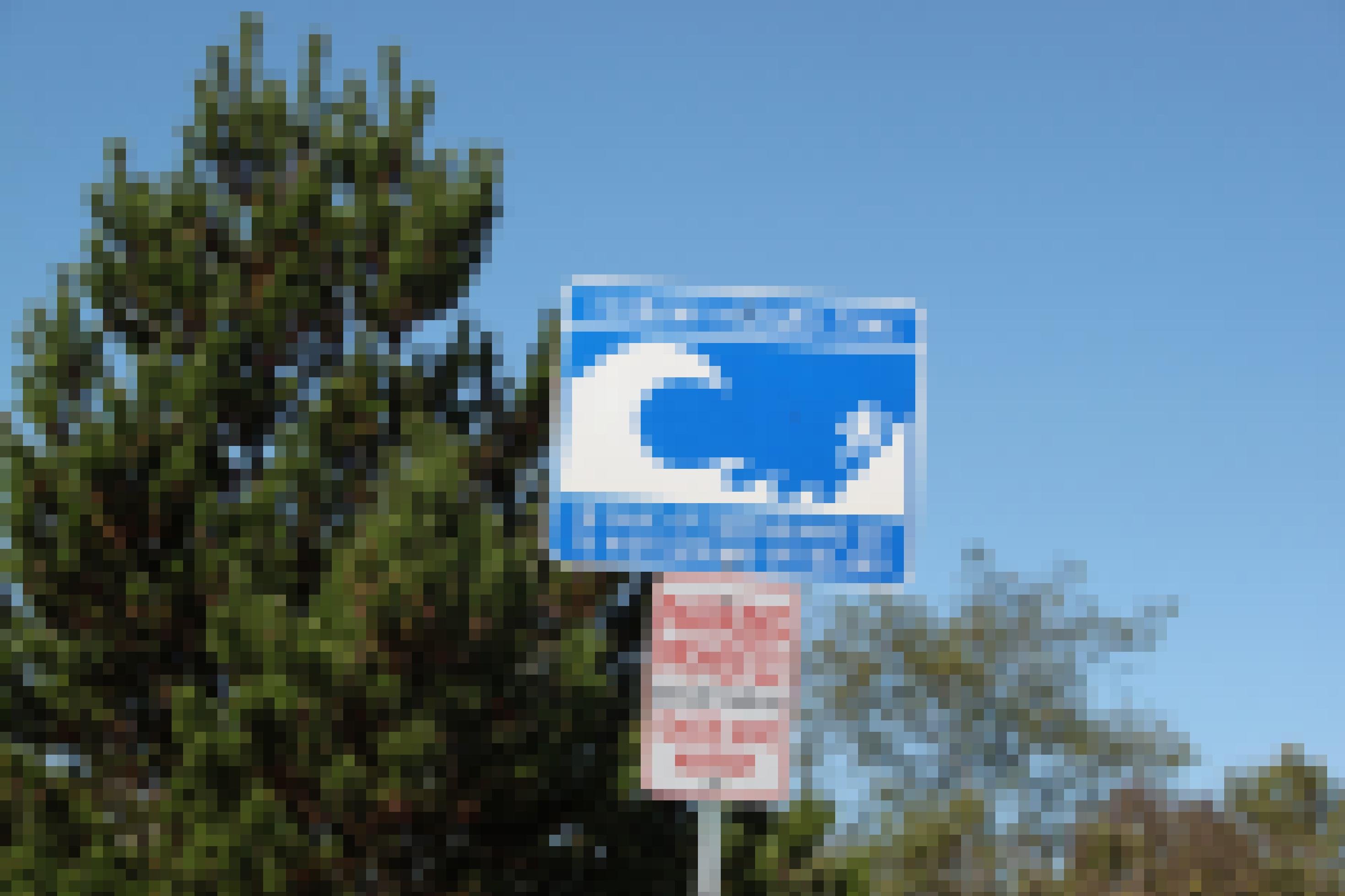 Ein blaues Tsunami-Warnschild vor Bäumen und blauem Himmel.