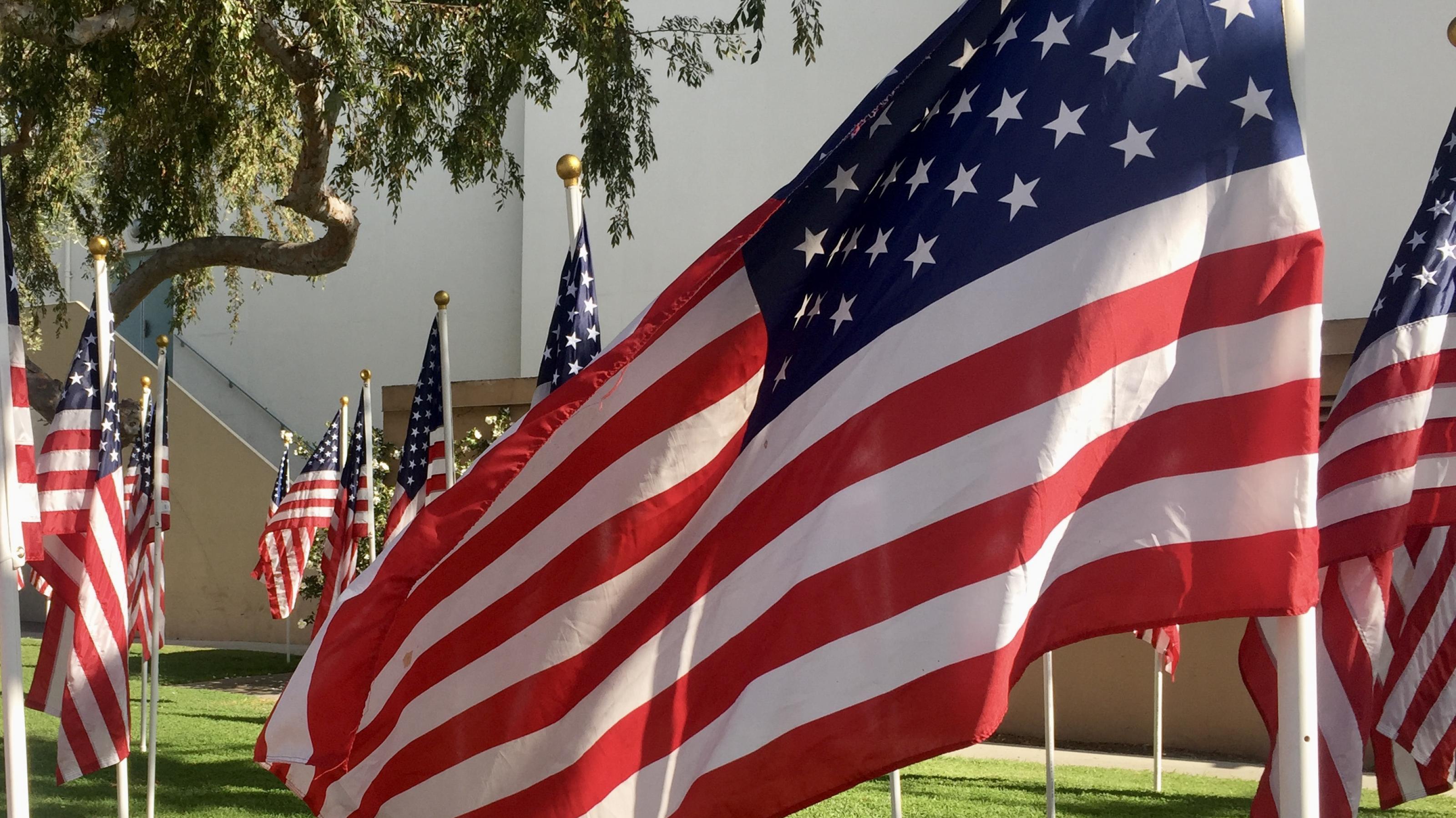 US-Flaggen, rot-weiss-und-blau – wehen in einem Park von Los Angeles im Wind vor grünem Hintergrund