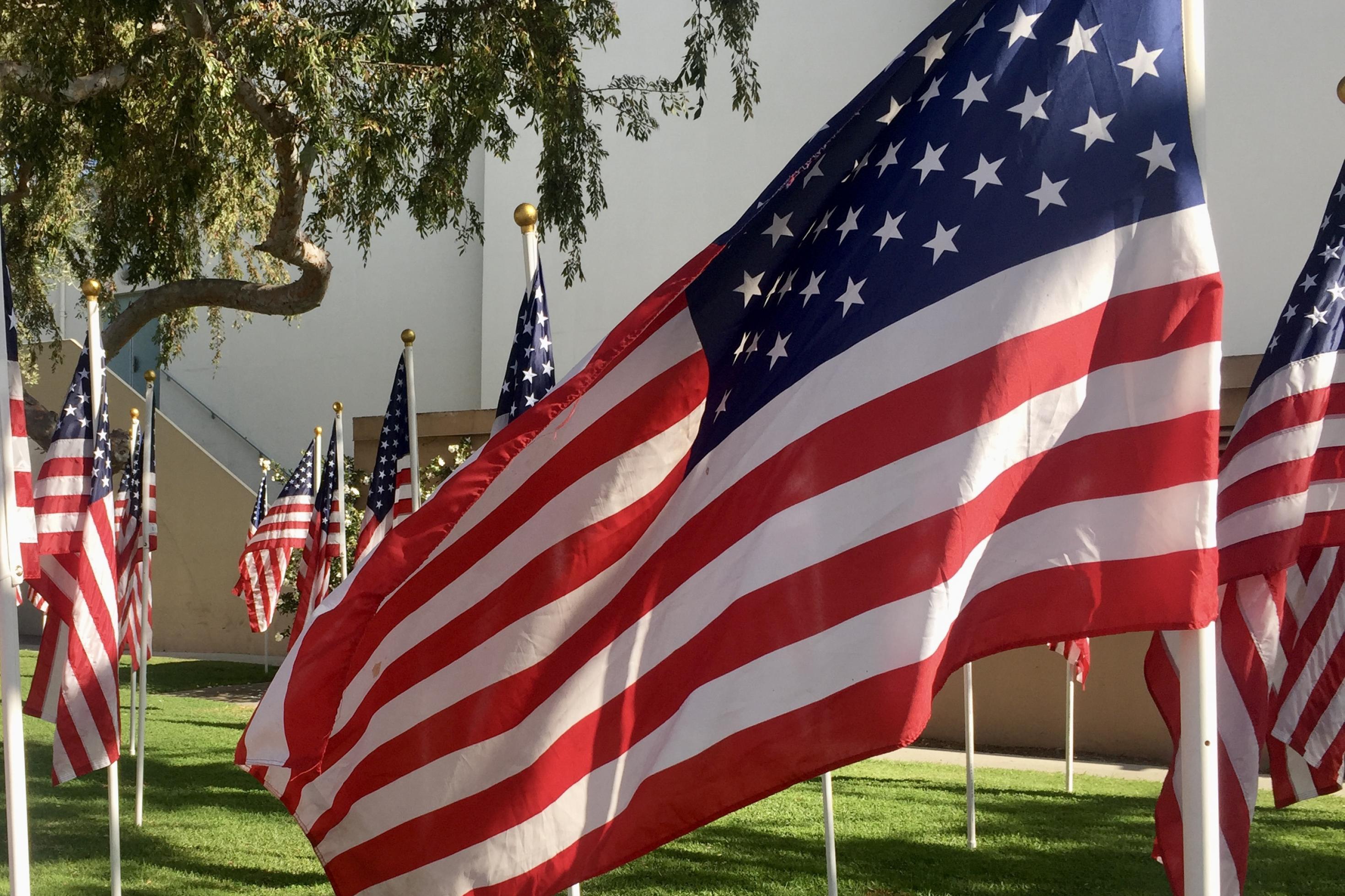US-Flaggen, rot-weiss-und-blau – wehen in einem Park von Los Angeles im Wind vor grünem Hintergrund