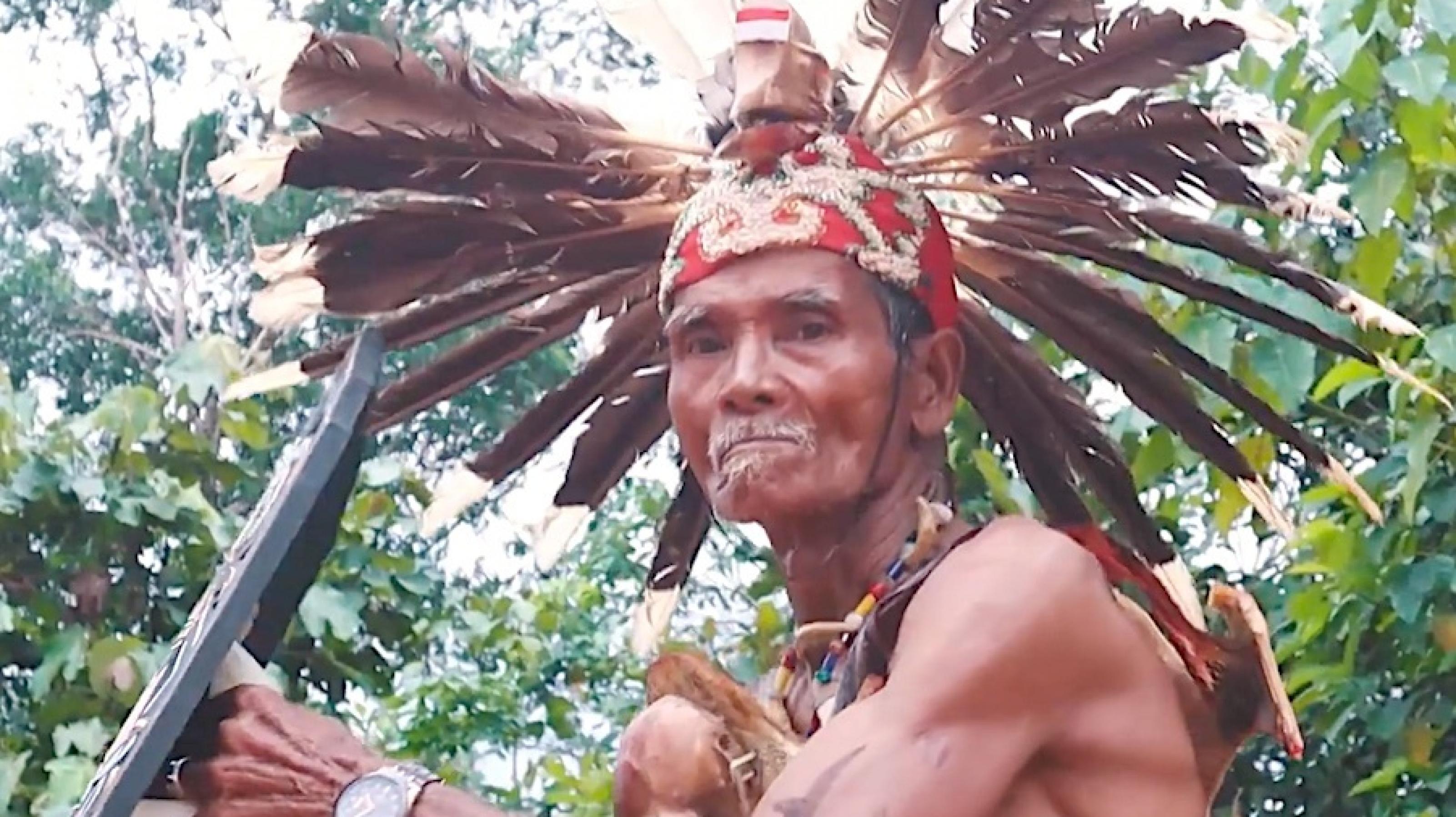 Ein älterer Dayak-Ngaju-Mann mit Feder-Kopfschmuck führt einen traditionellen Kriegstanz auf.