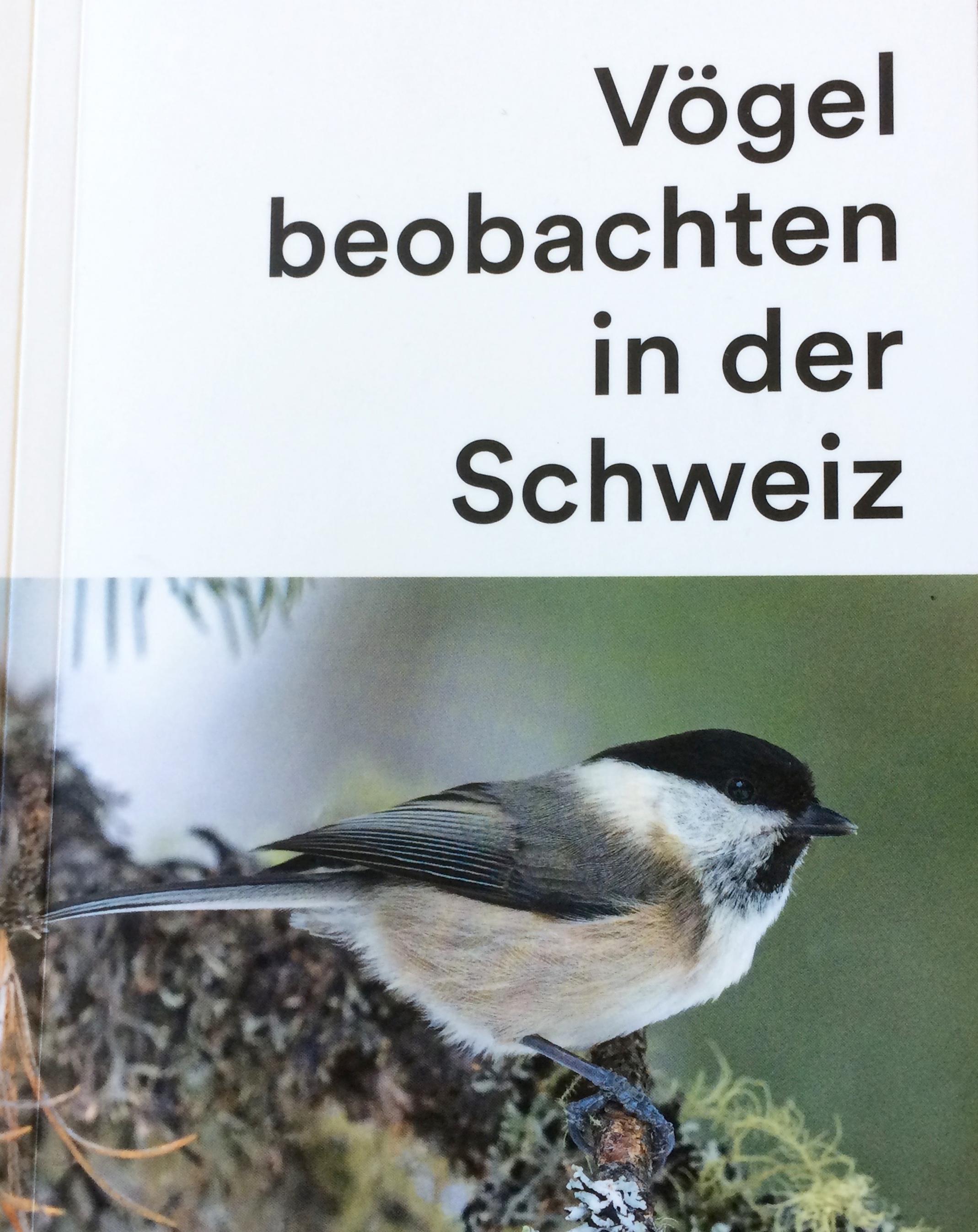 ein Buch mit einem Vogel darauf [AI]