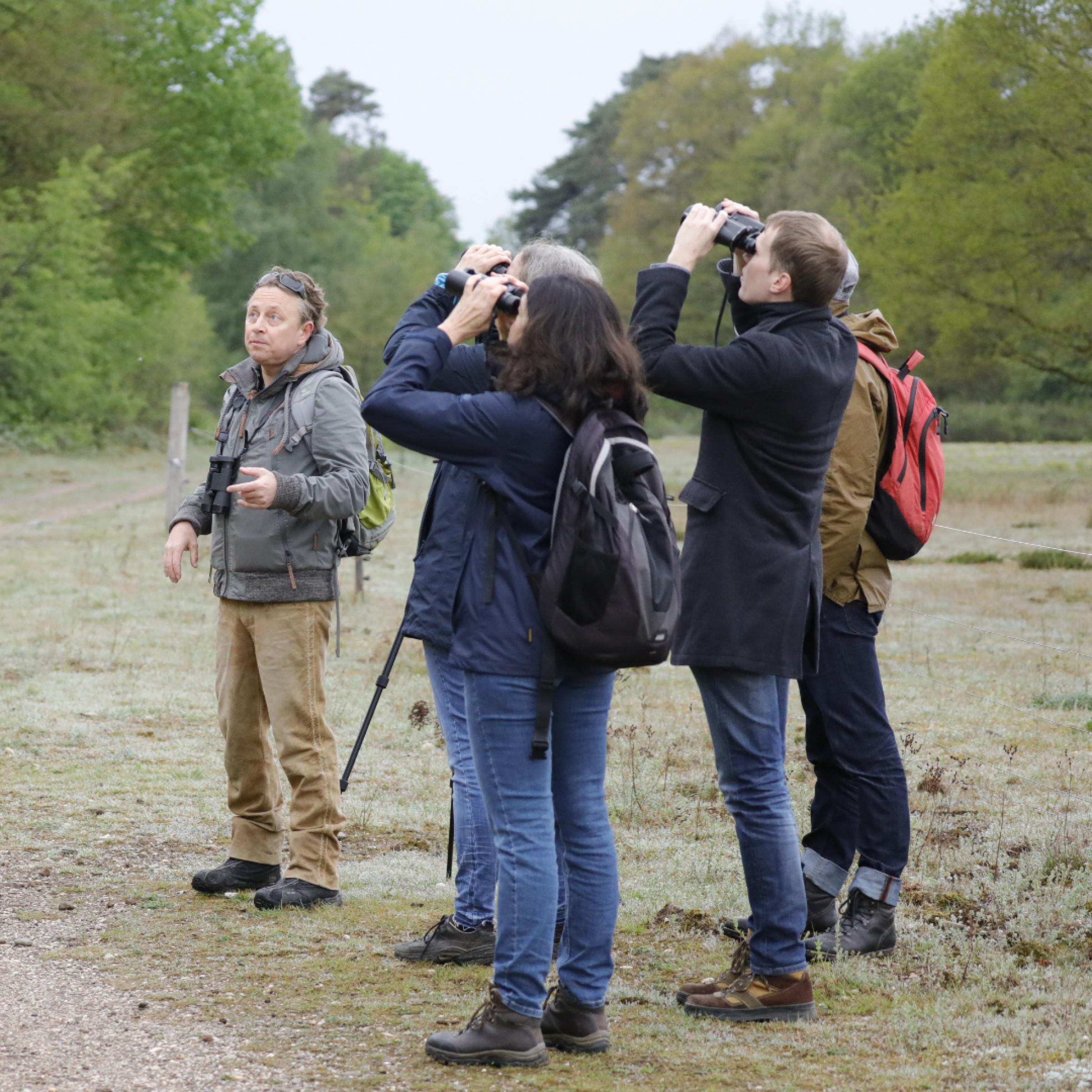 Eine Gruppe von Vogelbeobachtern in Jeans und Anoraks richtet ihre Ferngläser himmelwärts