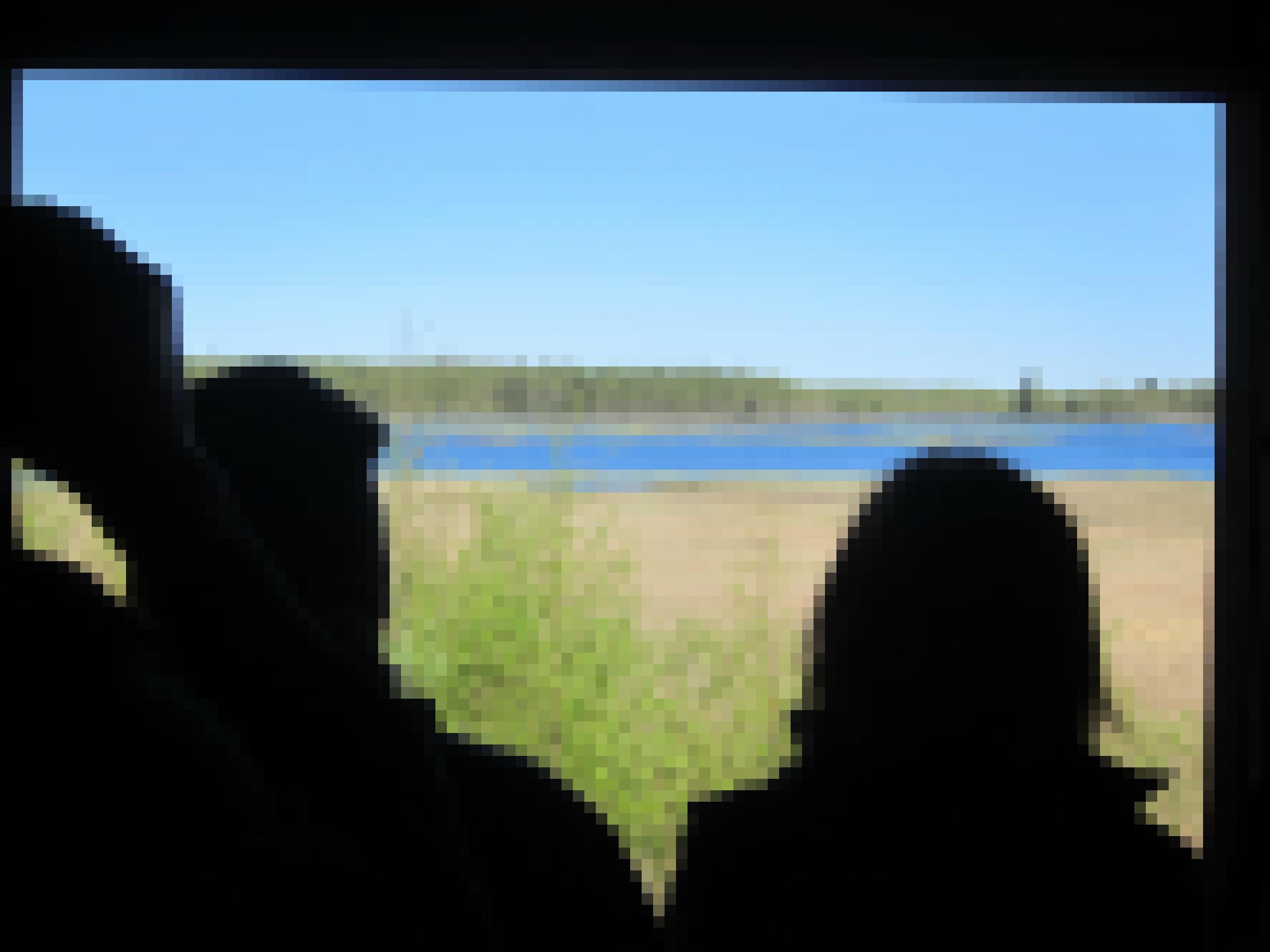 Blick aus der Öffnung einer Vogelbeobachtungshütte über einen See, an dessen Ufern sich Röhricht ausbreitet. Im Hintergrund Wald