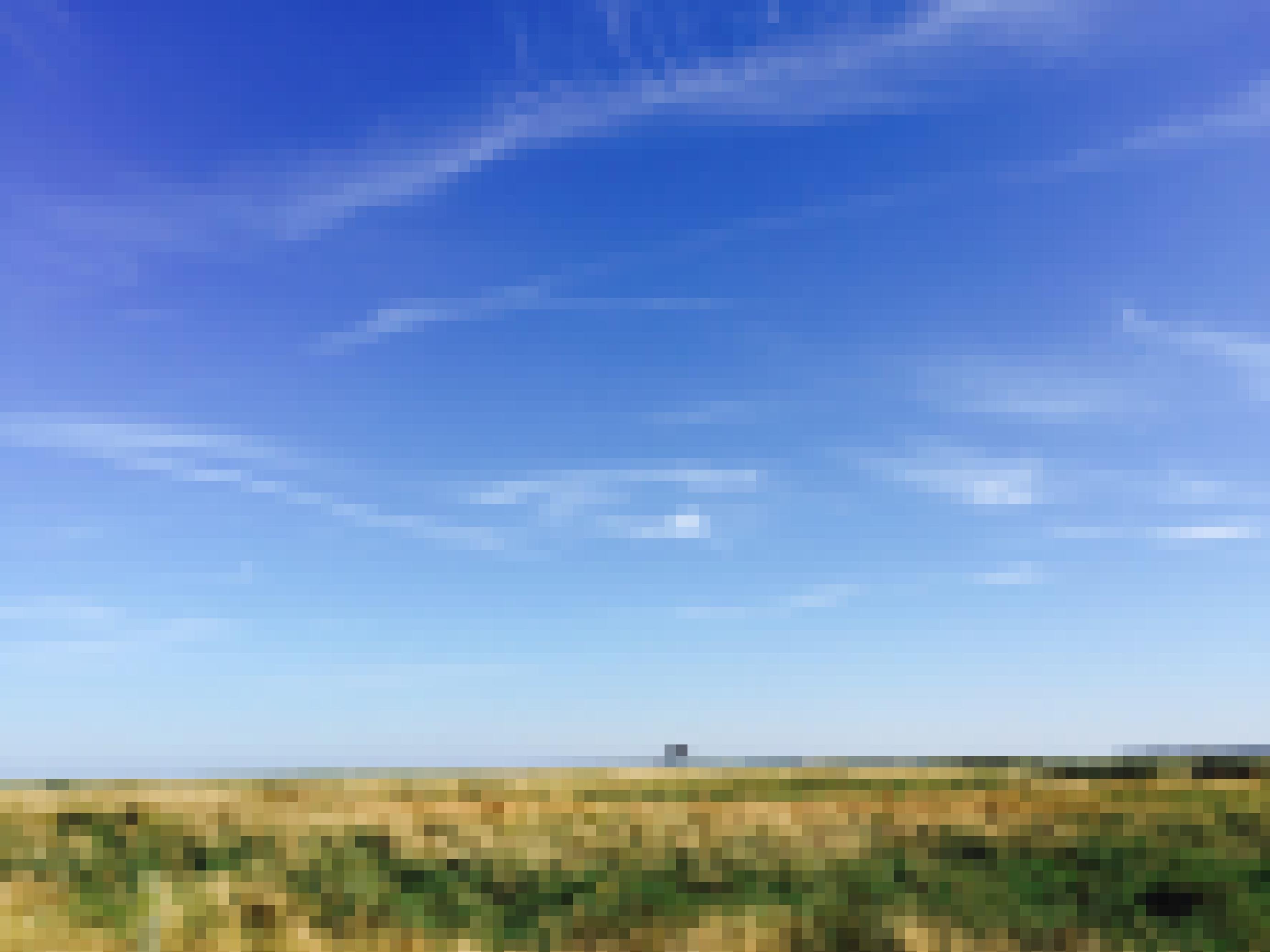 Blick aus einer Vogelhütte an der Kooser See nördlich von Greifswald. Man sieht eine weite Schilflandschaft, am Horizont eine weitere Hütte.