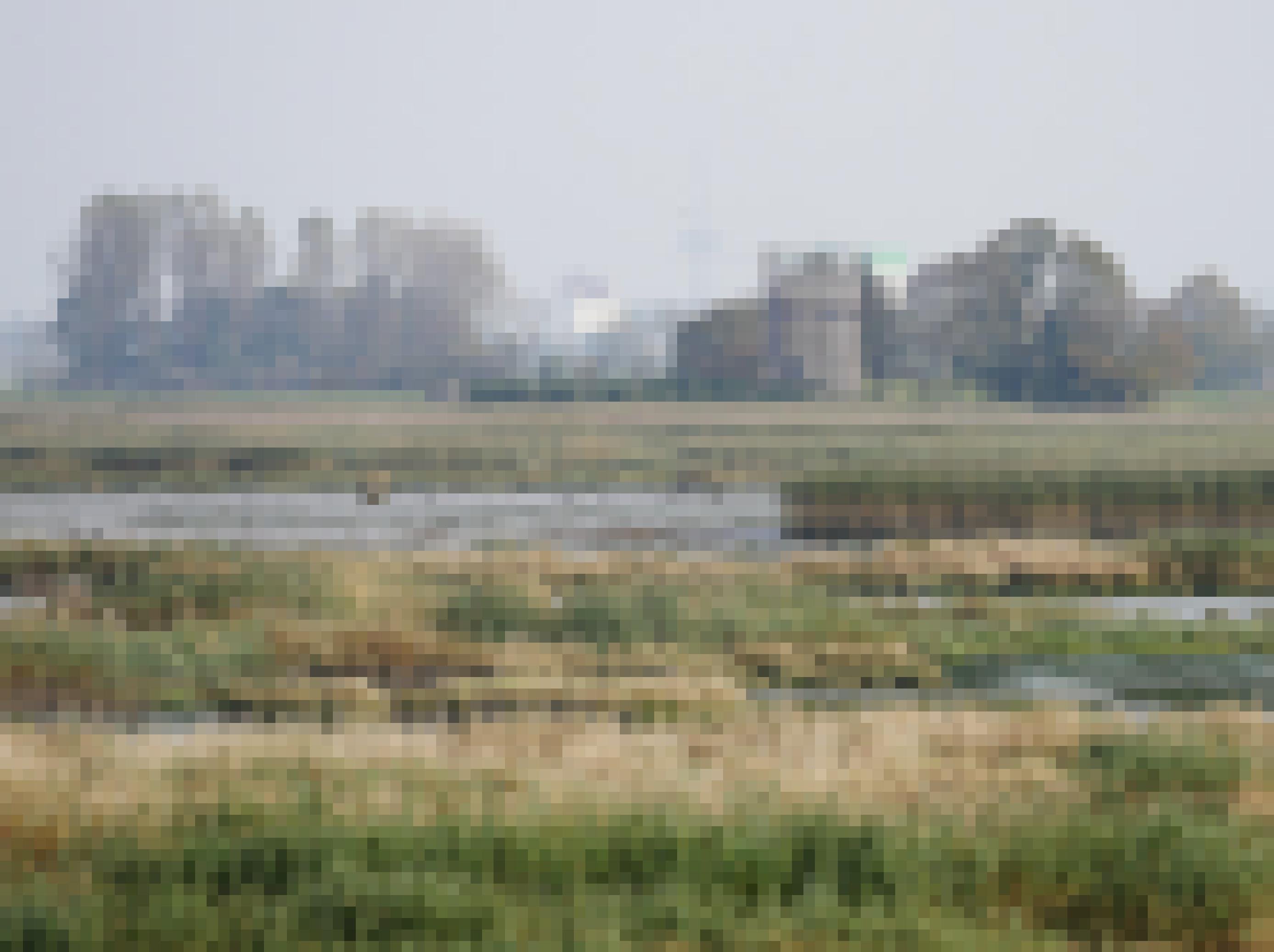 Dieser massive und zugleich filigrane Turm an der Mündung der Lune in die Weser (im Naturschutzgebiet Luneplate) sieht zumindest von außen sehr vielversprechend aus. Man kann hier, unter anderem, Weißwangengänse, Löffler, Eisvögel und jede Menge Enten beobachten.