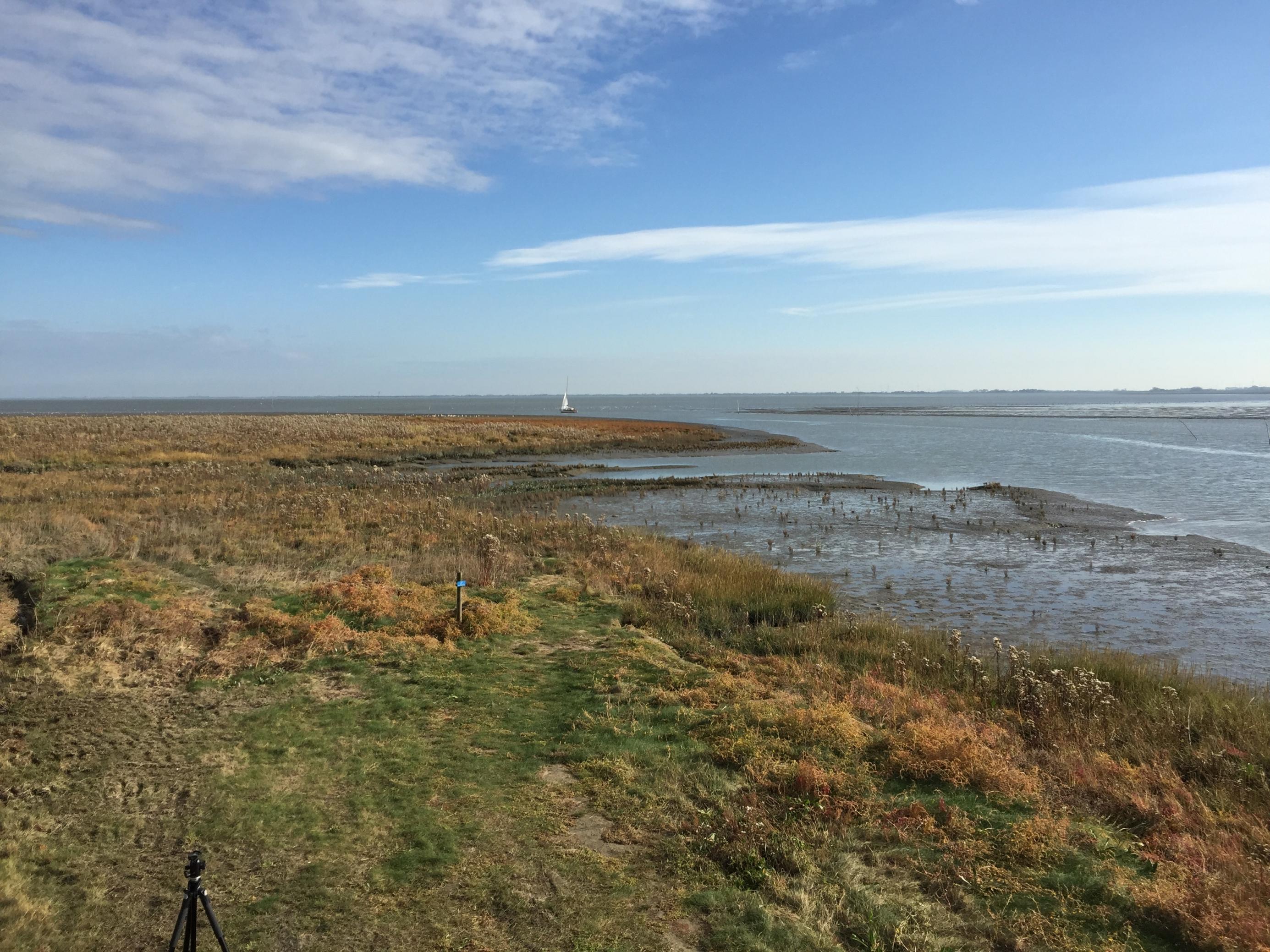 Von einem Vogelturm an der Küste bei Varel/Ostfriesland blickt man über Salzwiesen und Watt zur Nordsee