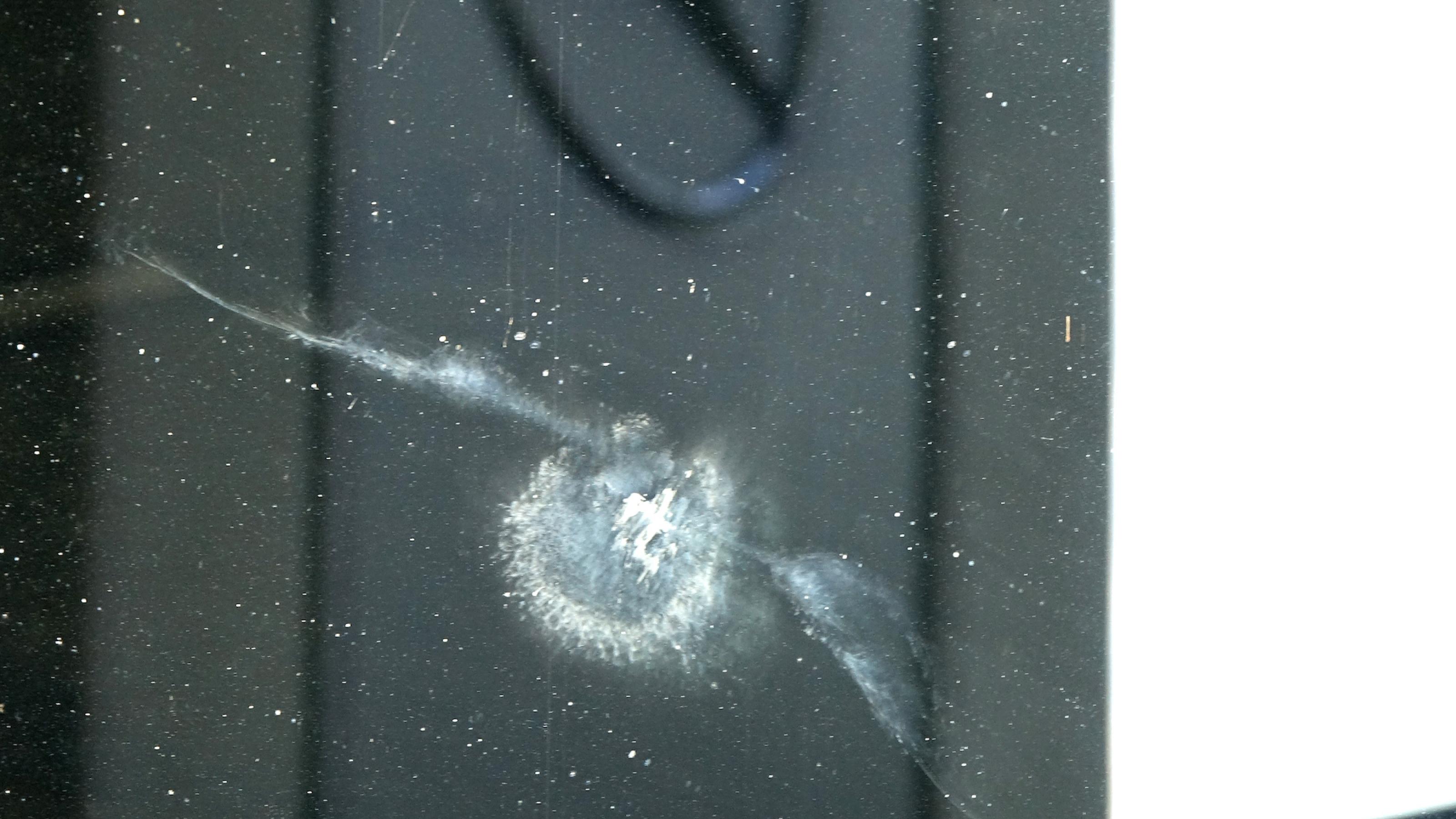 Auf dem Bild ist der Abdruck eines Vogels an der Glasfront des Flughafens BER zu sehen, der entsteht, wenn das Tier mit der Scheibe kollidiert. Im Gebäude am Hintergrund als Werbung ein großer Mercedesstern.
