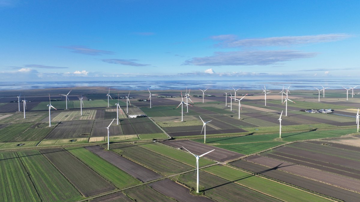 Grüne Infrastruktur gegen Ja zum Wind-Booster: Umweltverbände machen Friedensangebot für Natur- und Klimaschutz