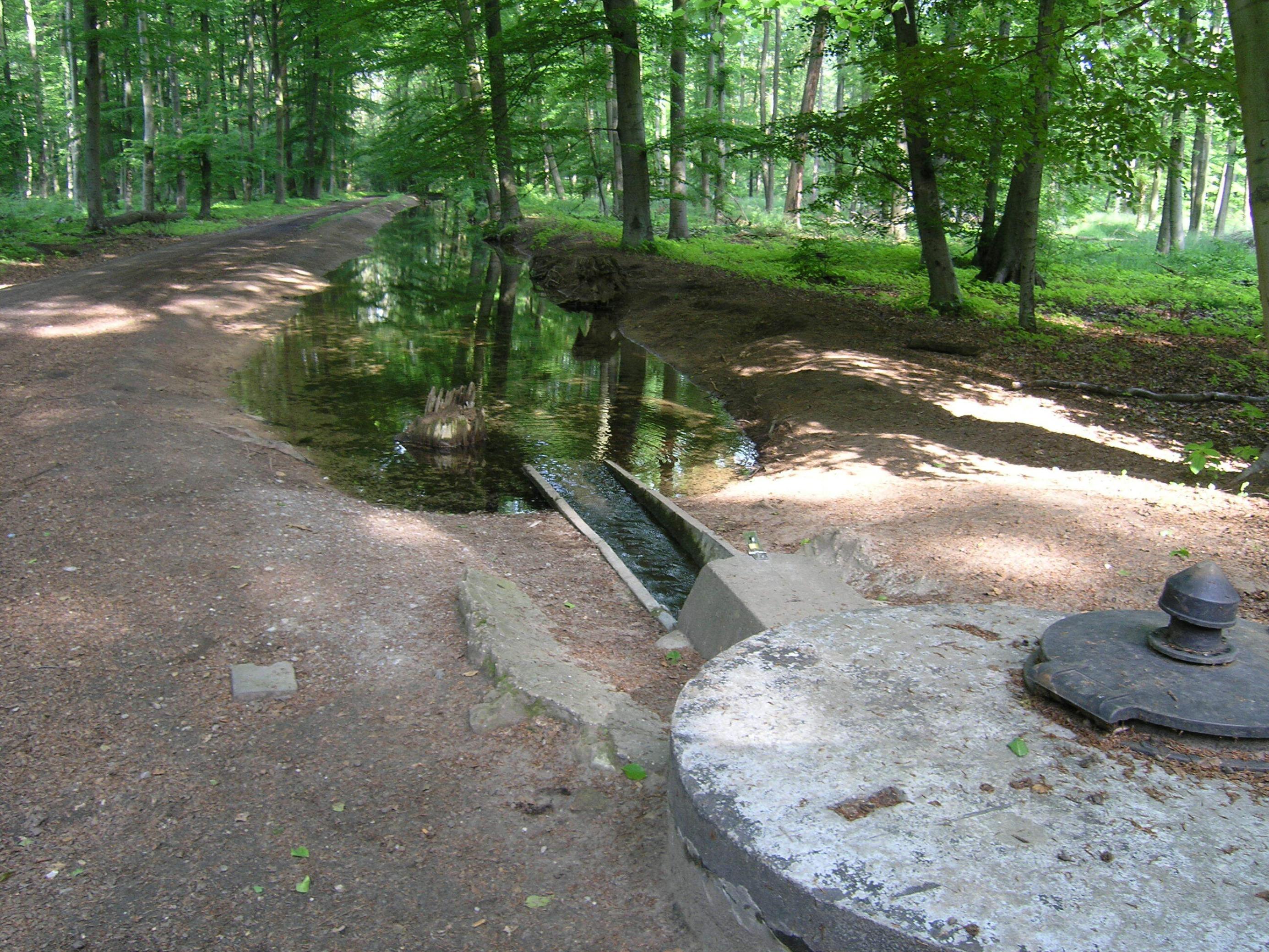 Im Stadtwald von Frankfurt fließt Wasser über eine Rinne in einen Graben