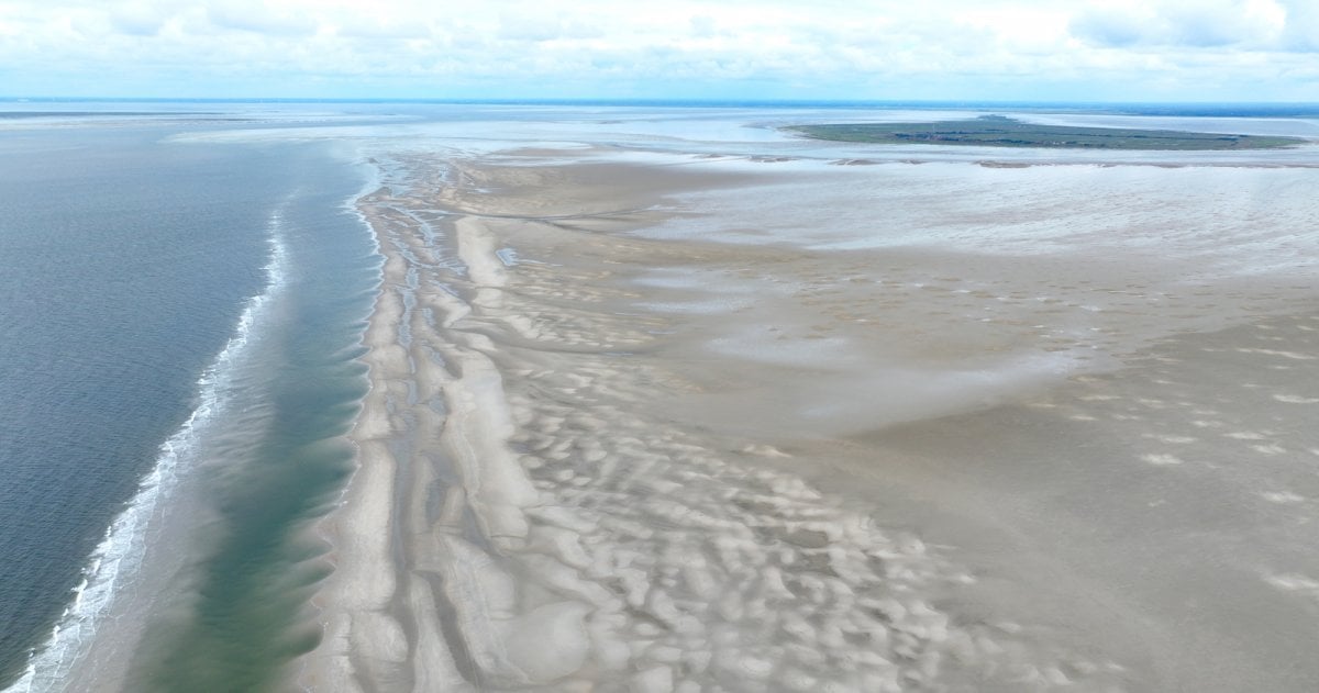 Wattenmeer-Experte: „Die Natur muss man manchmal machen lassen“