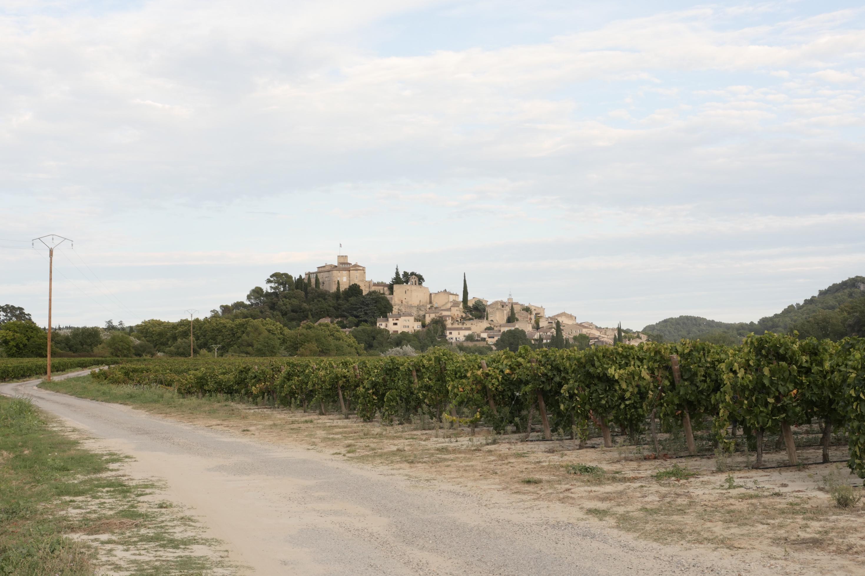 Eine staubige Straße führt zu einem provenzalischen Dorf, das weit entfernt auf einem hohen Hügel liegt. Weinreben säumen die Straße, an denen reife Trauben hängen.
