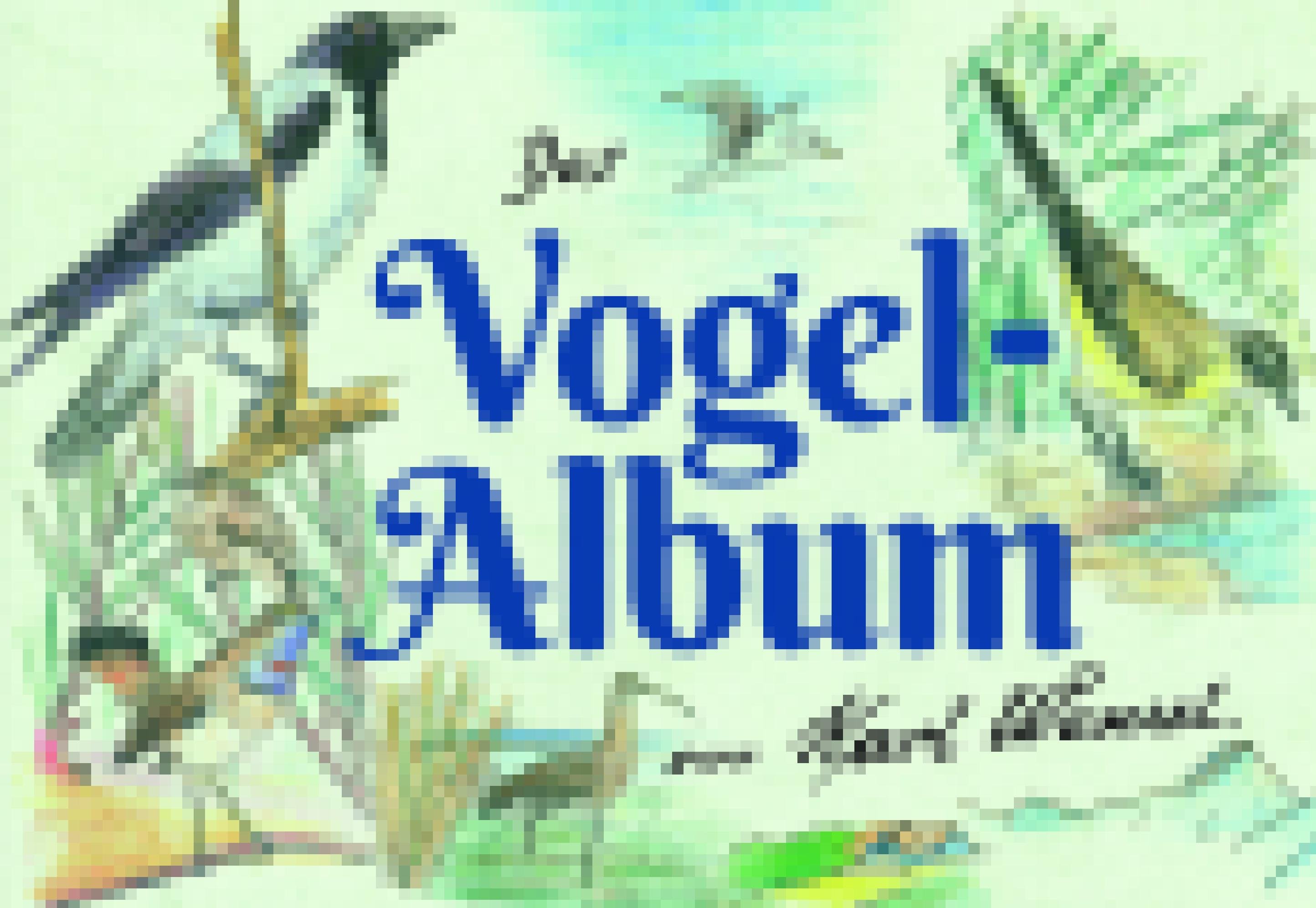 Cover des Vogel-Albums von Karl Wenzel mit gezeichneten Vögeln.