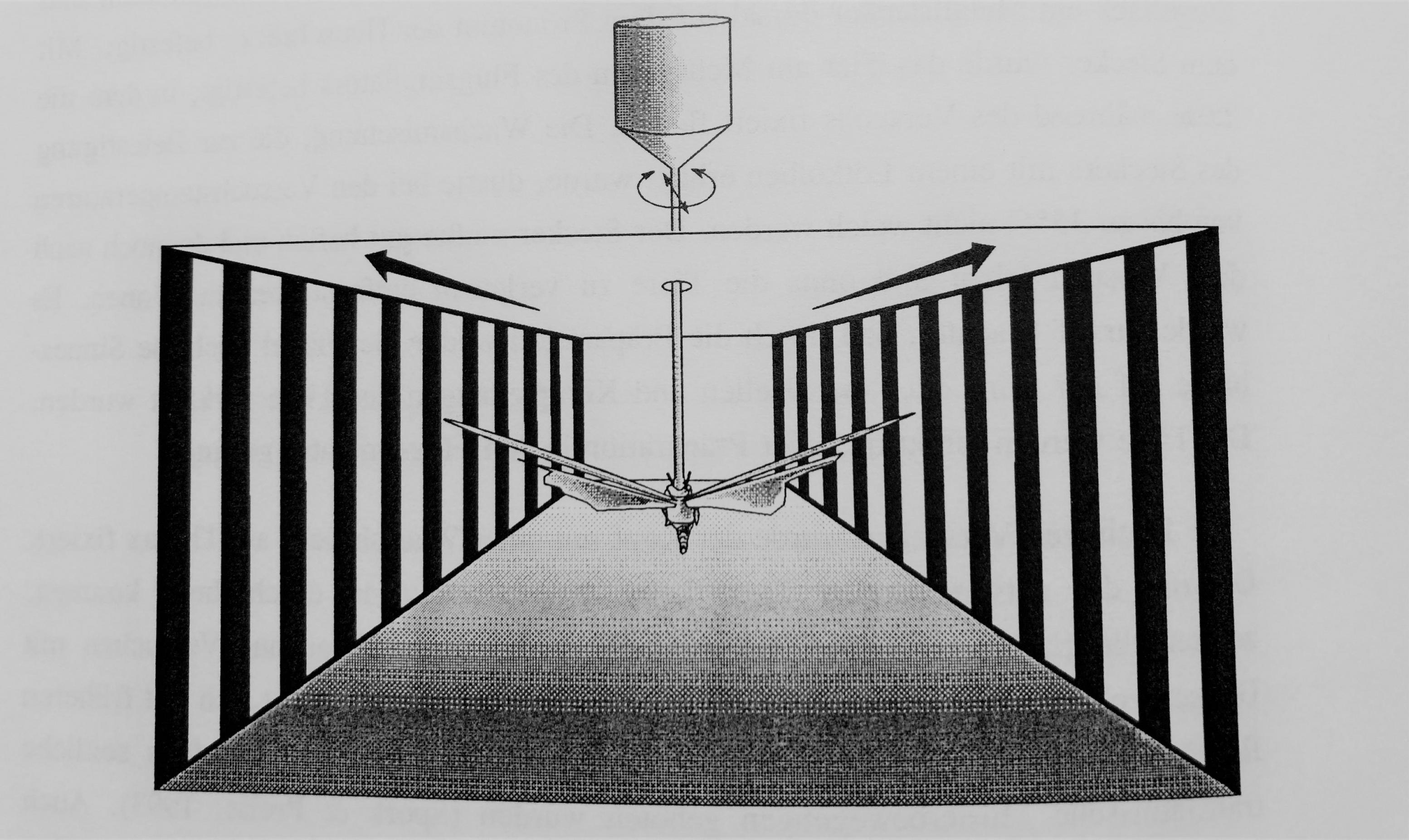 Skizze einer fliegenden Heuschrecke im Zentrum eines Windkanals von hinten gezeichnet. Über dem Kanal ist ein Messsystem befestigt, auf die Seiten sind Streifenmuster projiziert.