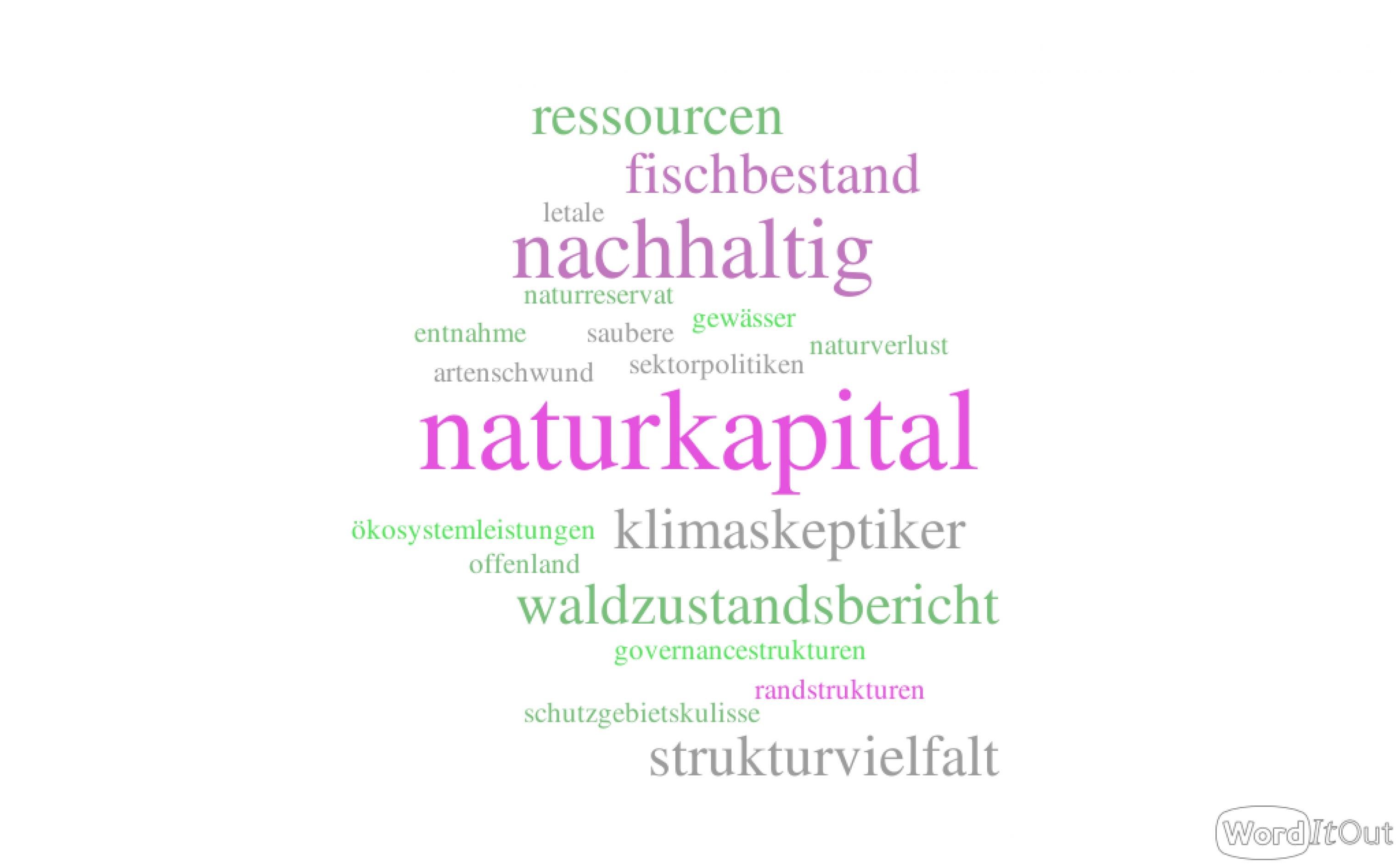 Eine Wortwolke zeigt Begriffe, die in der Diskussion um Natur- und Klimaschutz häufig auftauchen, darunter Naturkapital, nachhaltig, Ressourcen, Fischbestand, Strukturvielfalt und Waldzustandsbericht. Die häufig verwendeten Begriffe sind groß, die selteneren klein gedruckt.