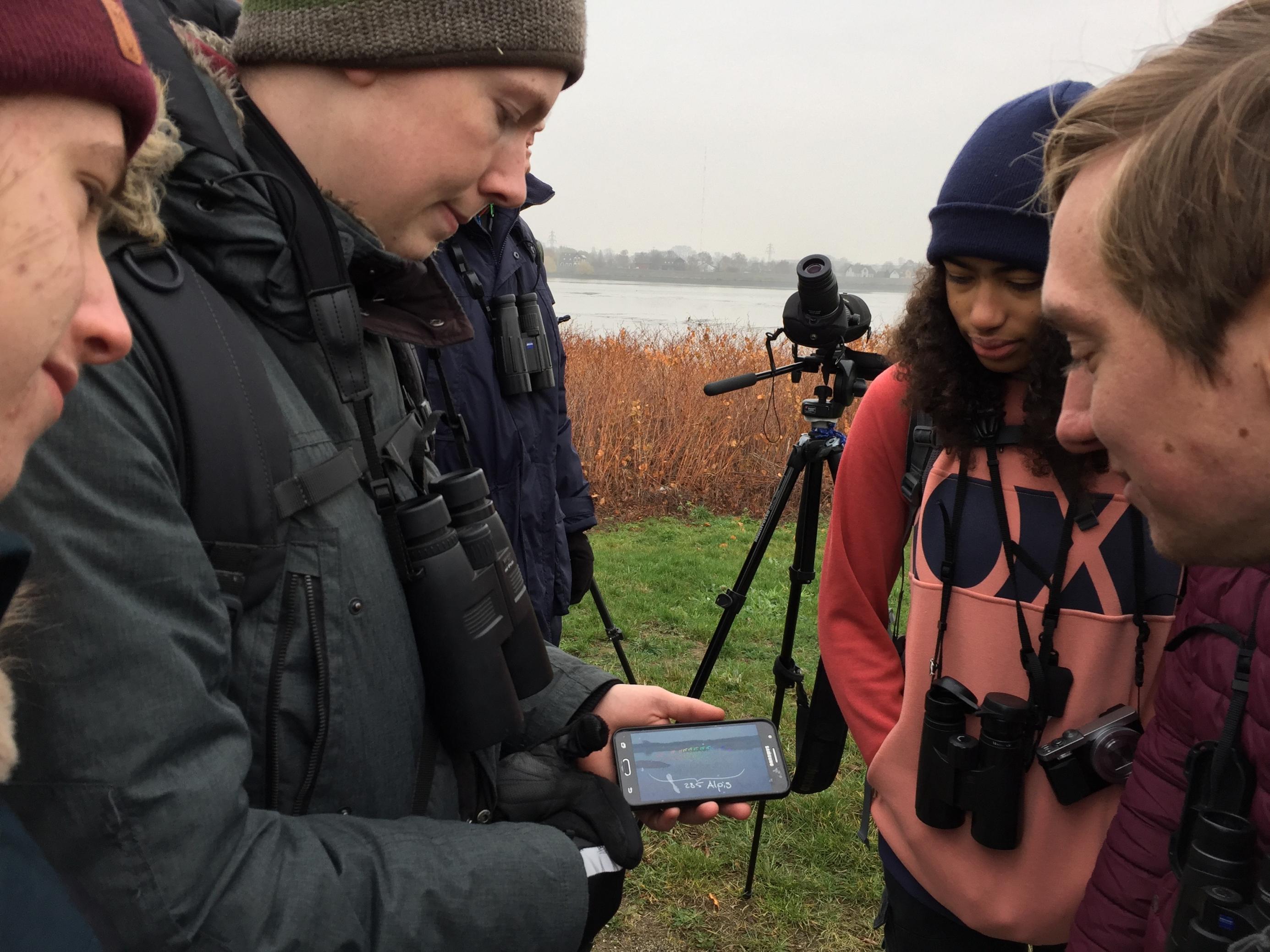 Eine Gruppe junger Birdwatcher beugt sich über ein Handy, auf dem das Fotos eines Vogelschwarms zu sehen ist. Die einzelnen Vögel sind mit Punkten markiert, um sie besser zählen zu können.