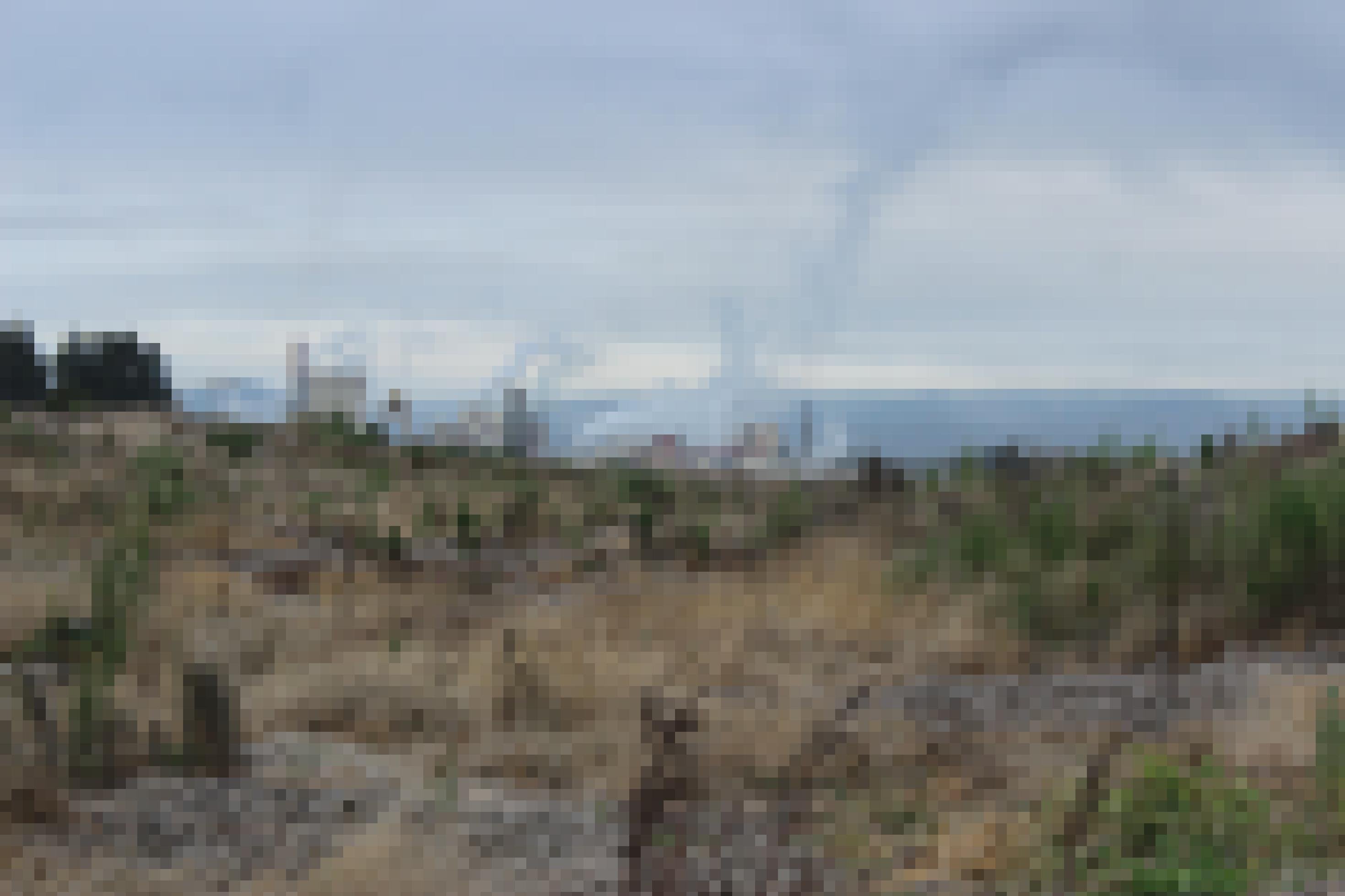 Die Zellulose-Fabrik des Unternehmens Arauco verpestet die Luft und das Wasser in der Umgebung.