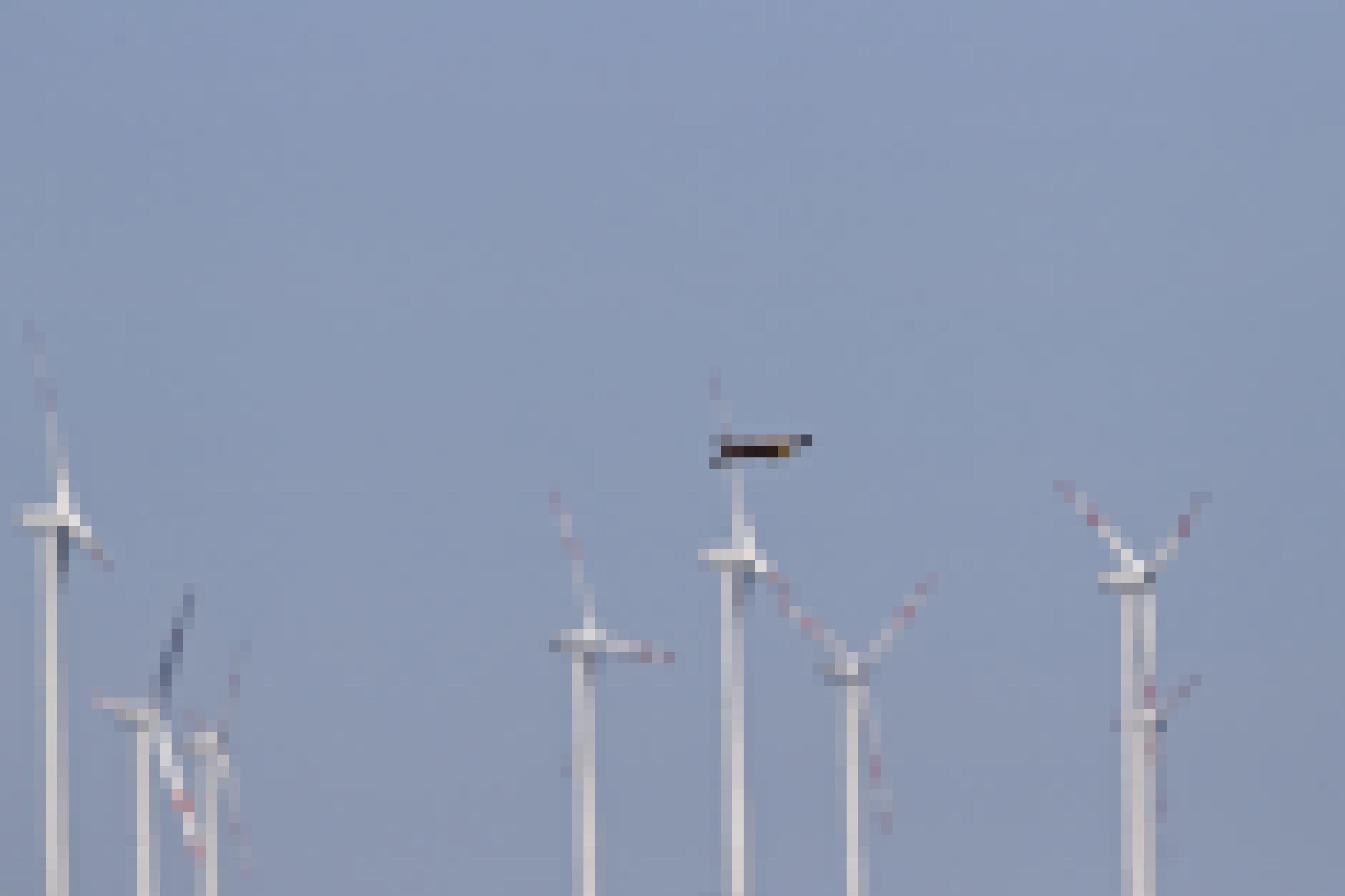 Ein Schreiadler fliegt durch eine Reihe von Windkraftwerken