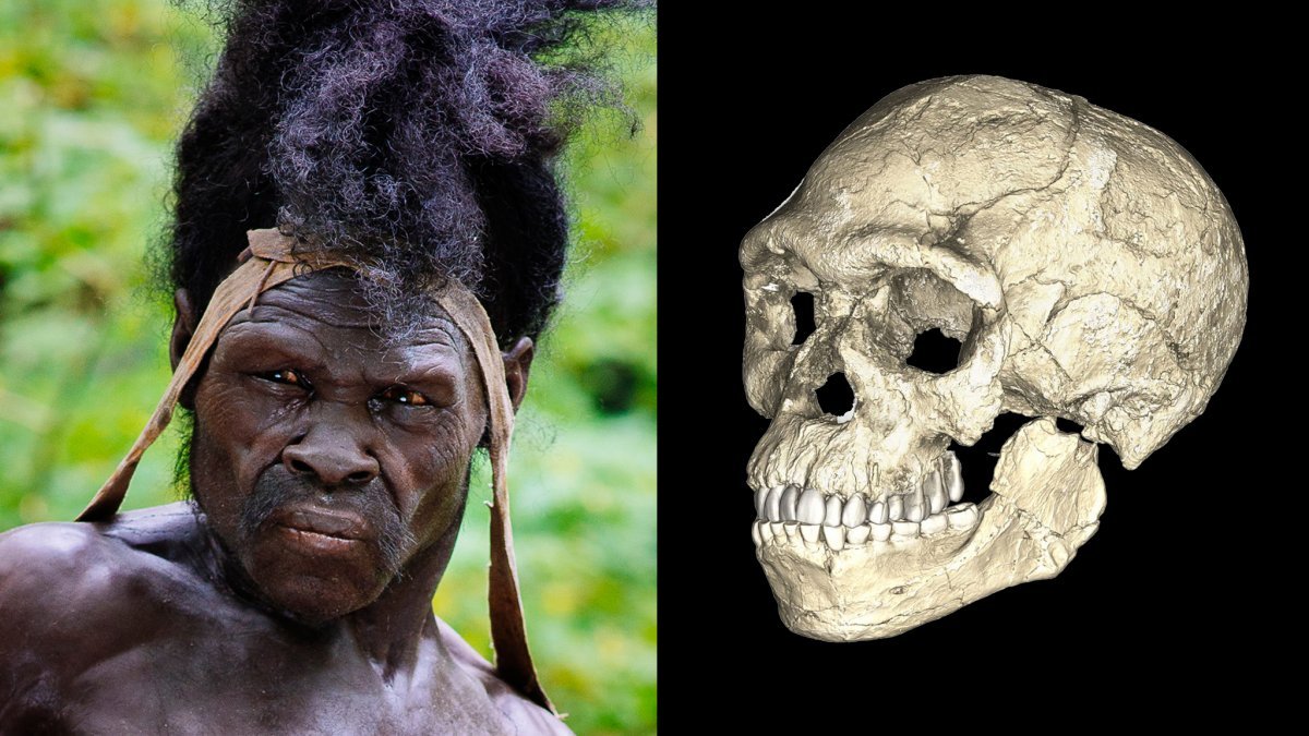 Homo sapiens: Wie ein Pionier aus Afrika die gesamte Erde eroberte