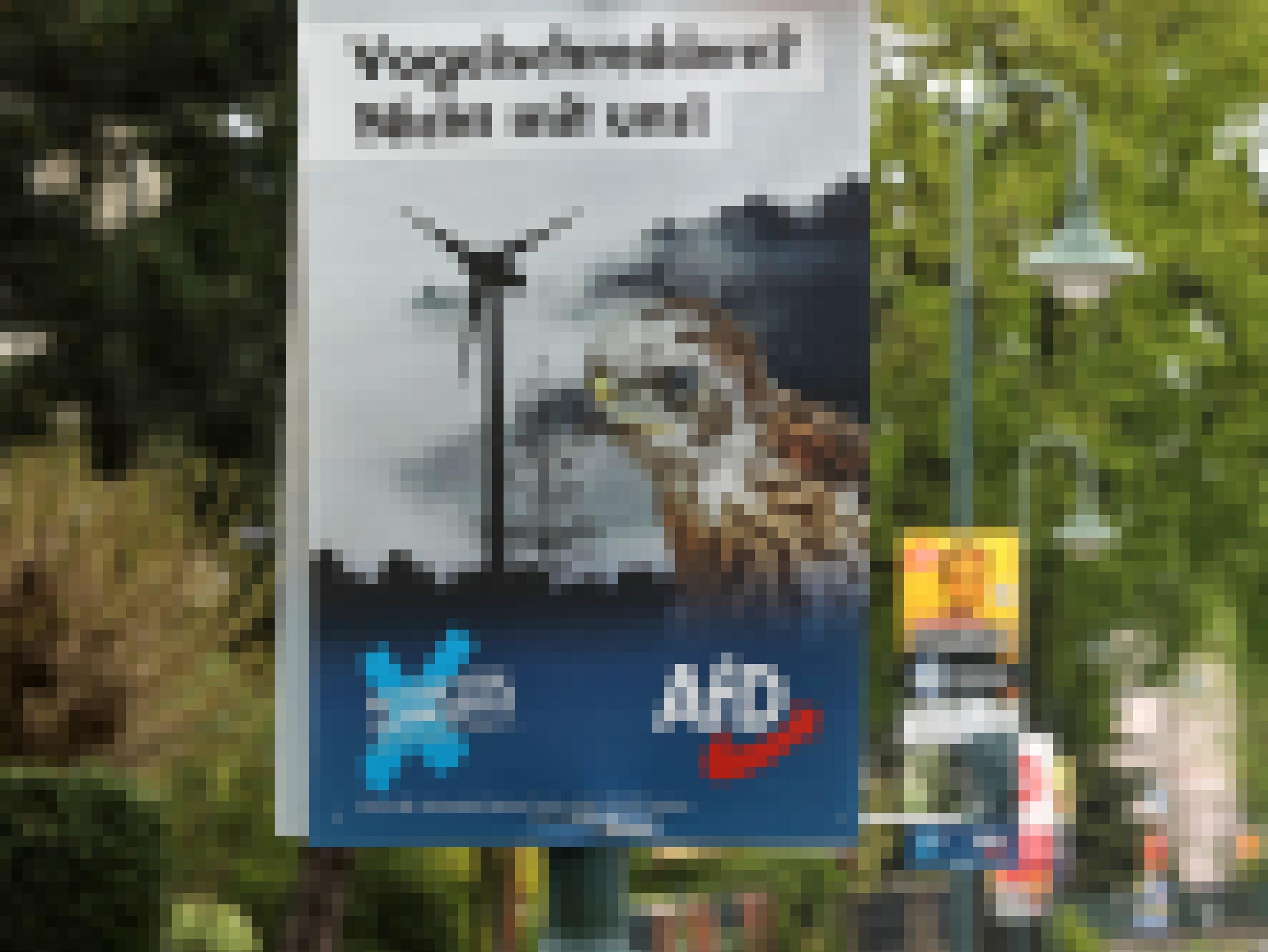 Ein Wahlplakat der AfD mit einem jungen Greifvogel und einem Windrad als HIntergrund