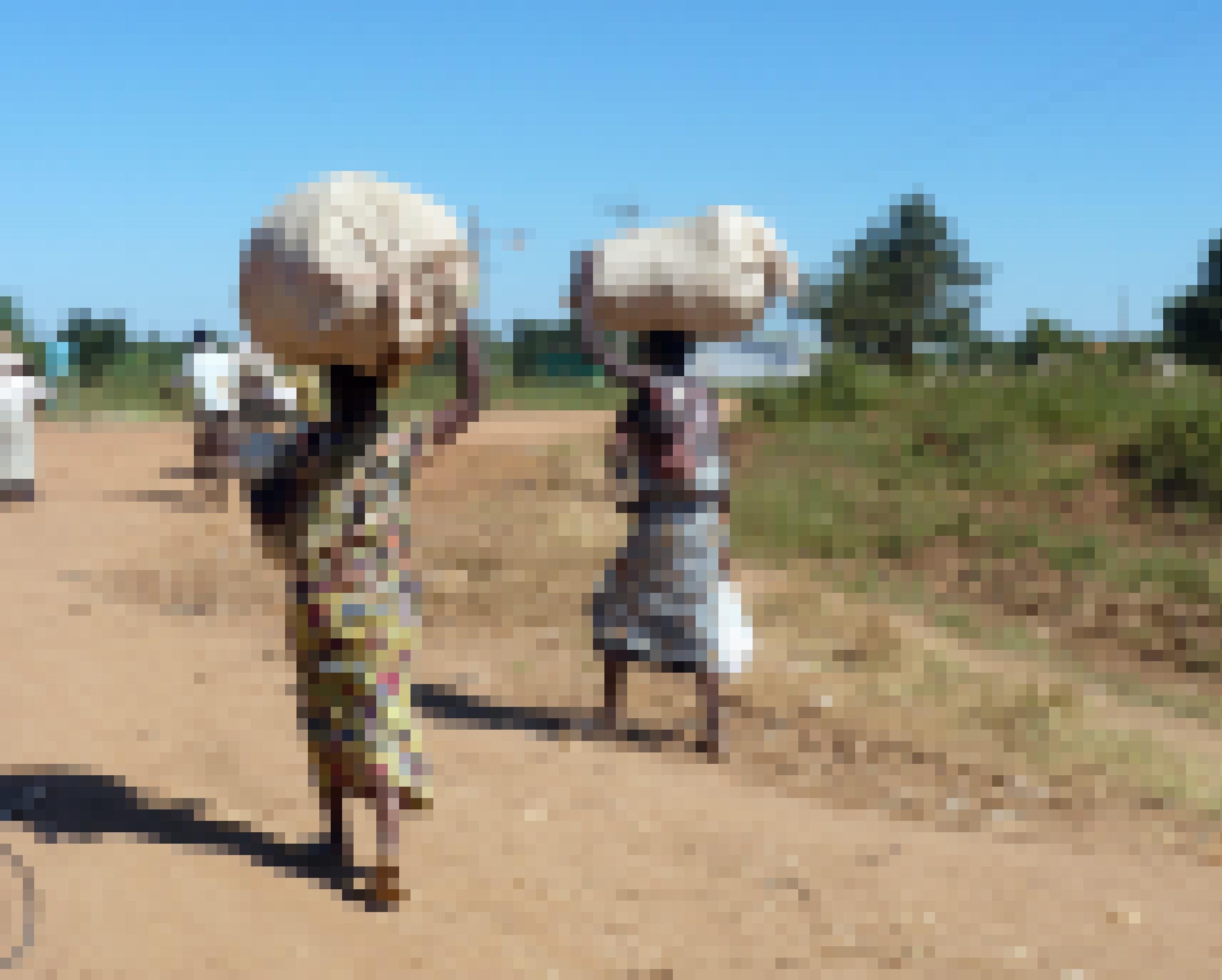 Das Bild zeigt zwei Frauen, die schwere Säcke auf dem Kopf transportieren, die Straße ist staubig, der Weg zum Markt weit..