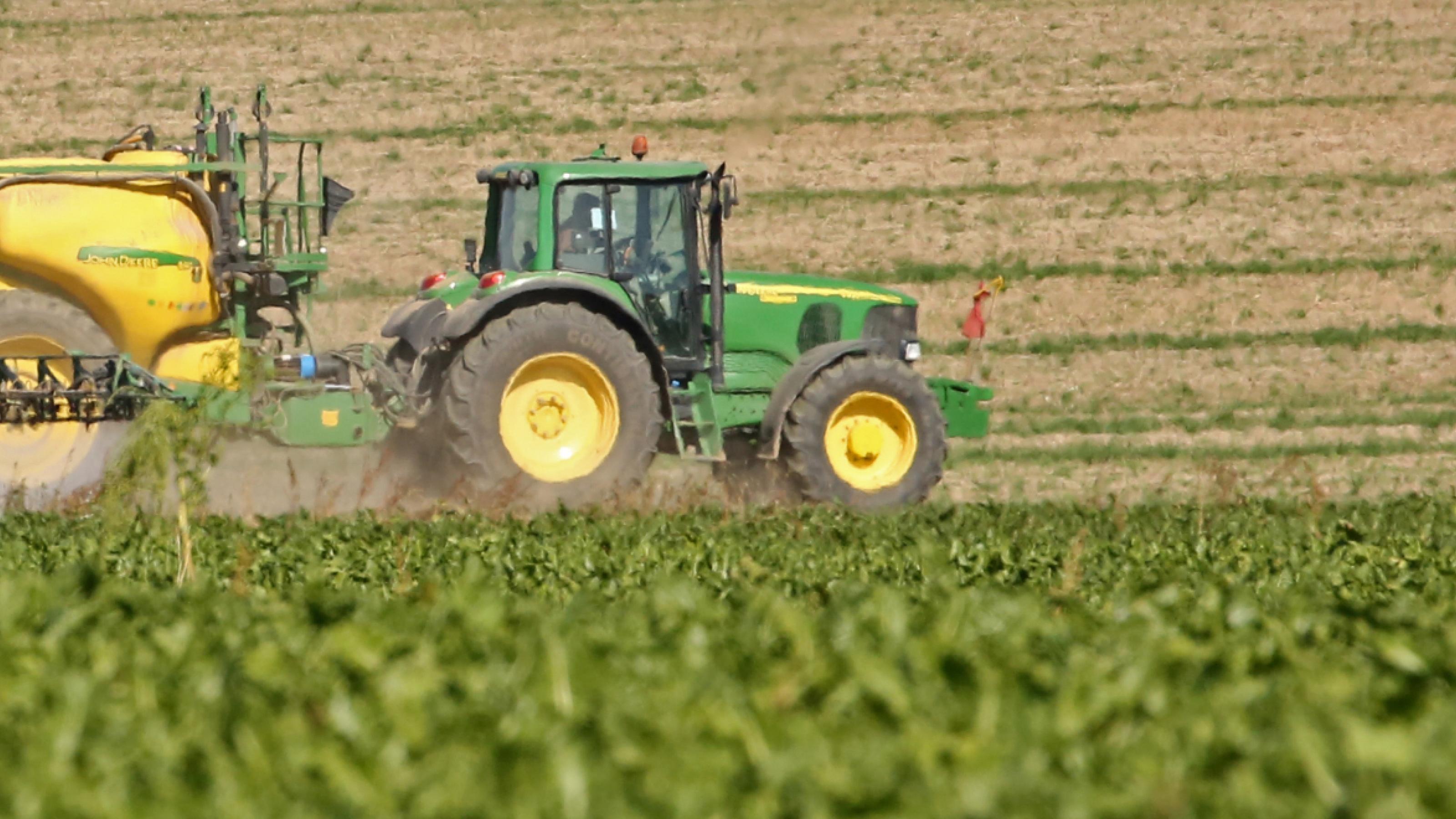 Ein Traktor fährt mit schwerem Chemieanhänger über ein Rübenfeld und spritzt Chemikalien