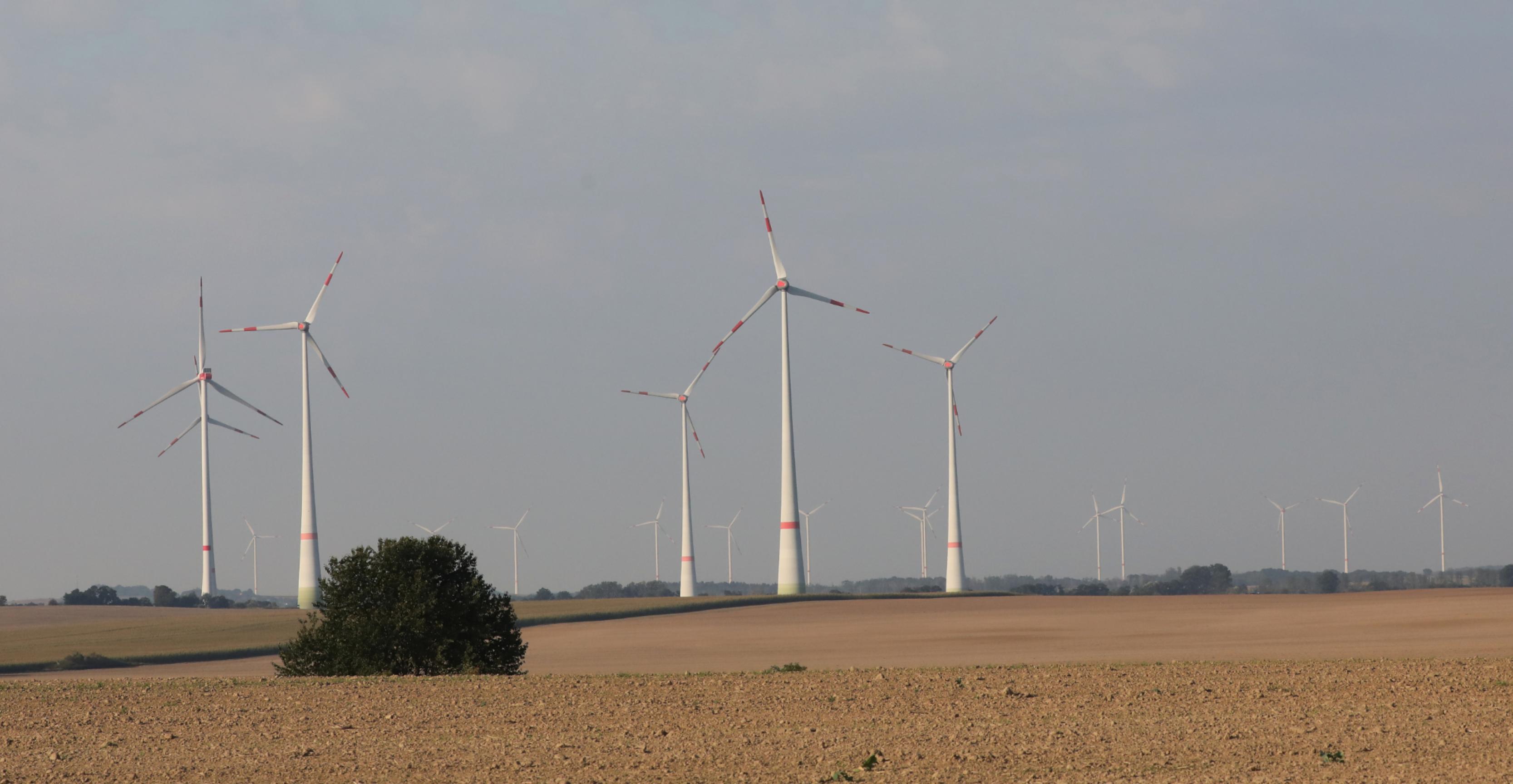 Eine ausgeräumte Agrarlandschaft mit endlosem Acker und Windrädern im Hintergrund.