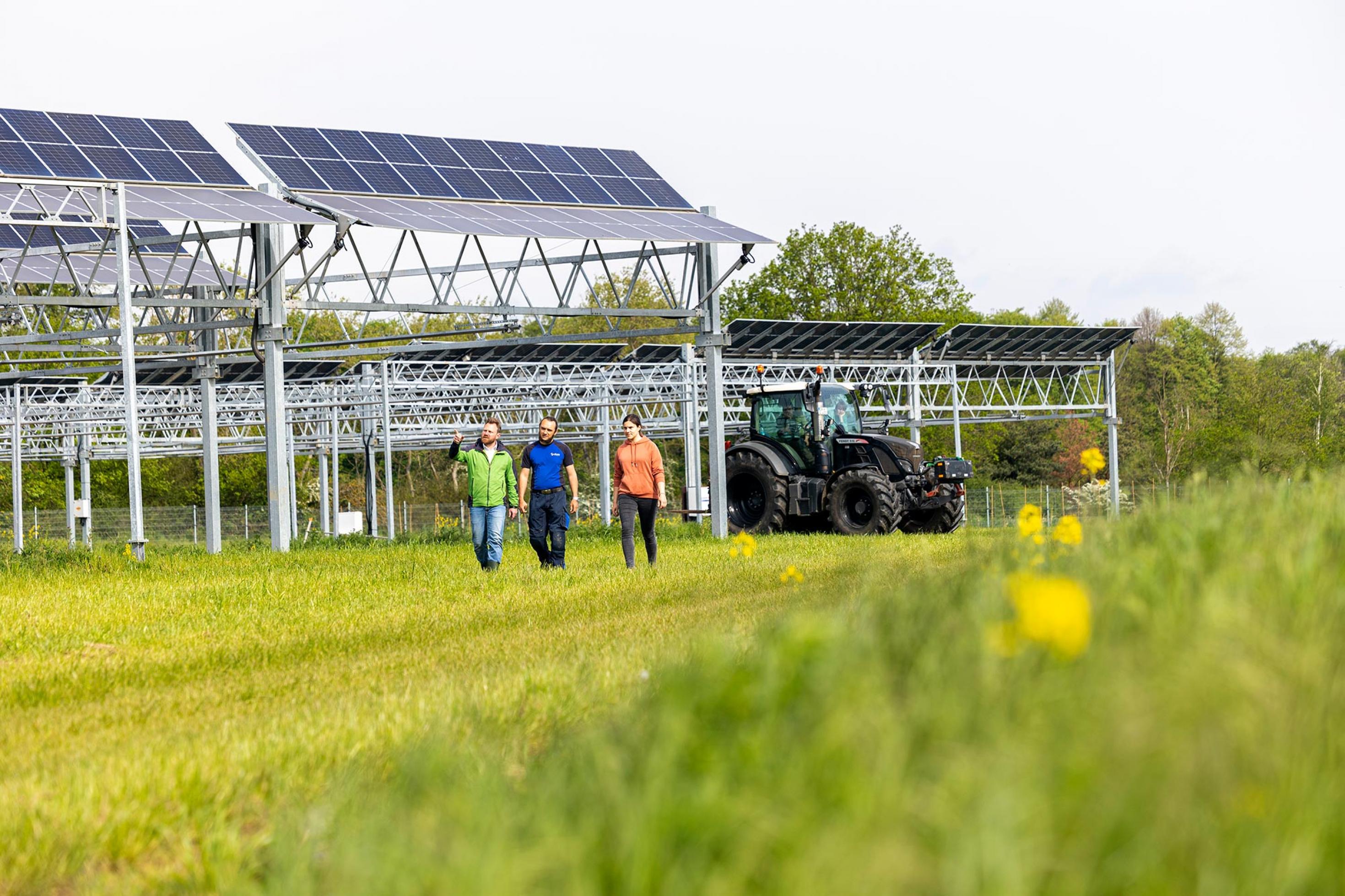 Drei Menschen laufen über ein Feld, auf dem auf Ständeranlagen Photovoltaikmodule aufgebaut sind. Im Hintergrund steht ein Traktor.