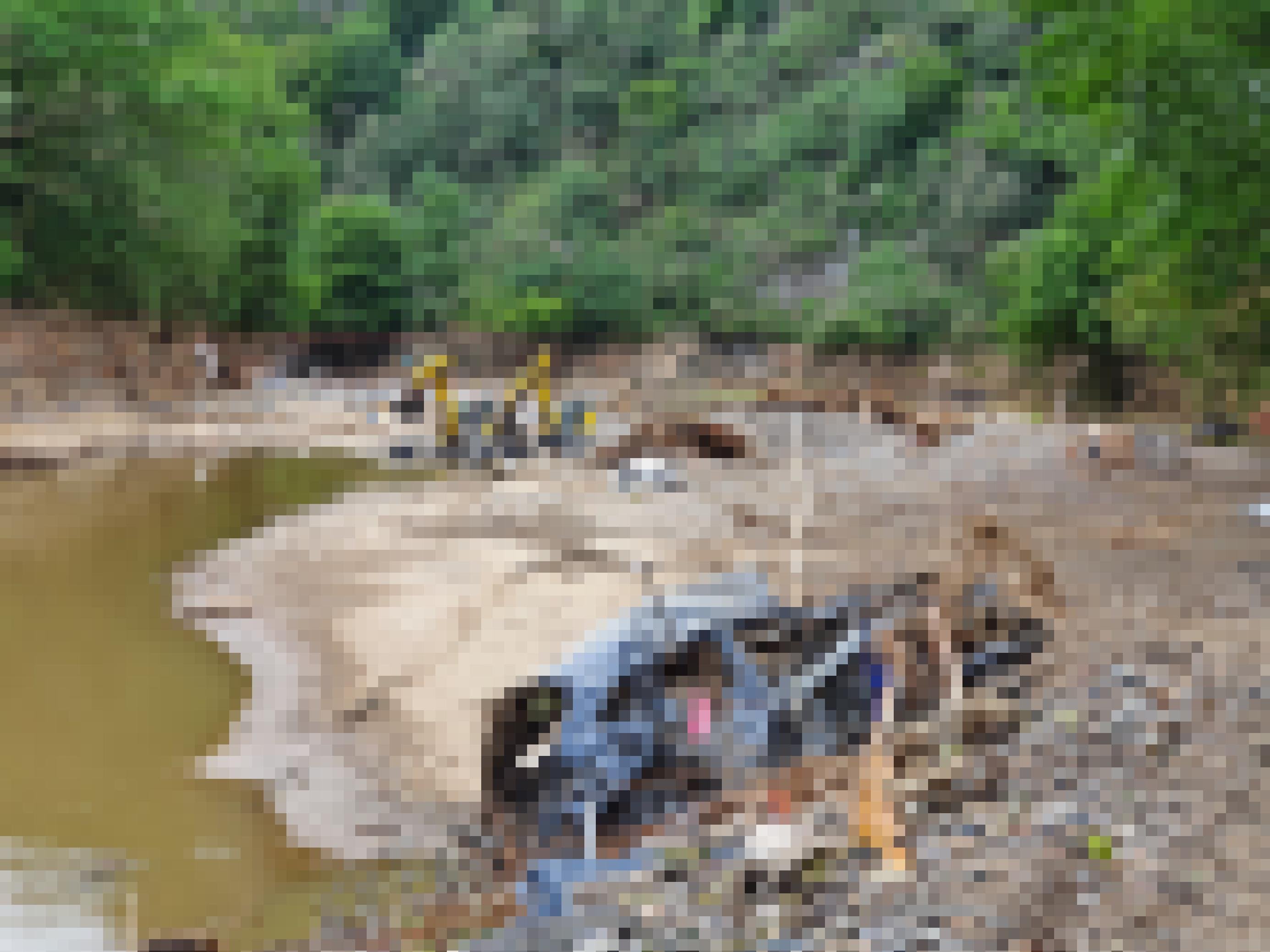 Autowrack im Flussbett, dahinter stehen Bagger im Fluss.