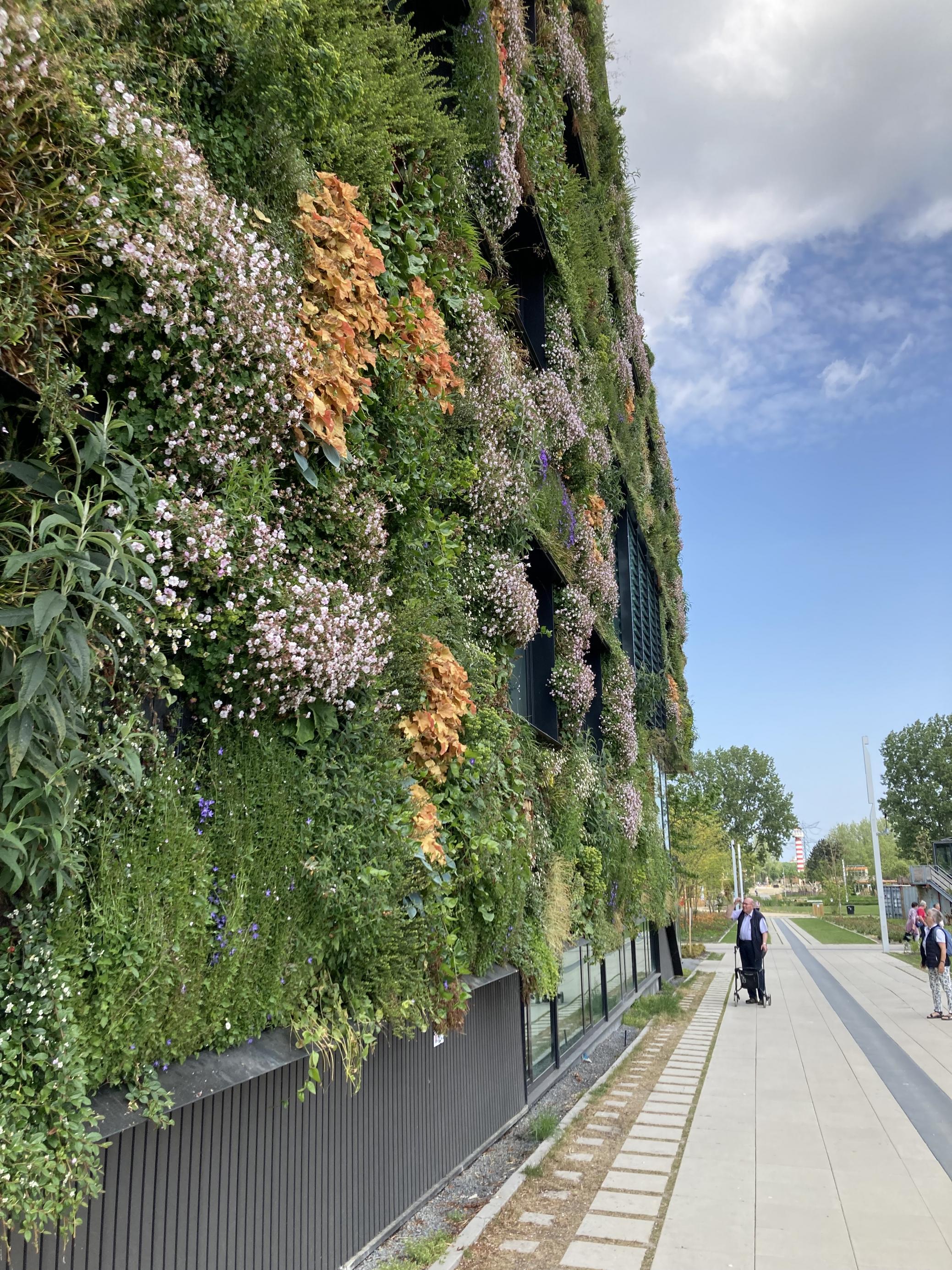 Bürgersteig vor der grünen Fassade des Gebäudes der FH in Almere. Die Passanten können den Eindruck bekommen, sie laufen durch einen Wald.